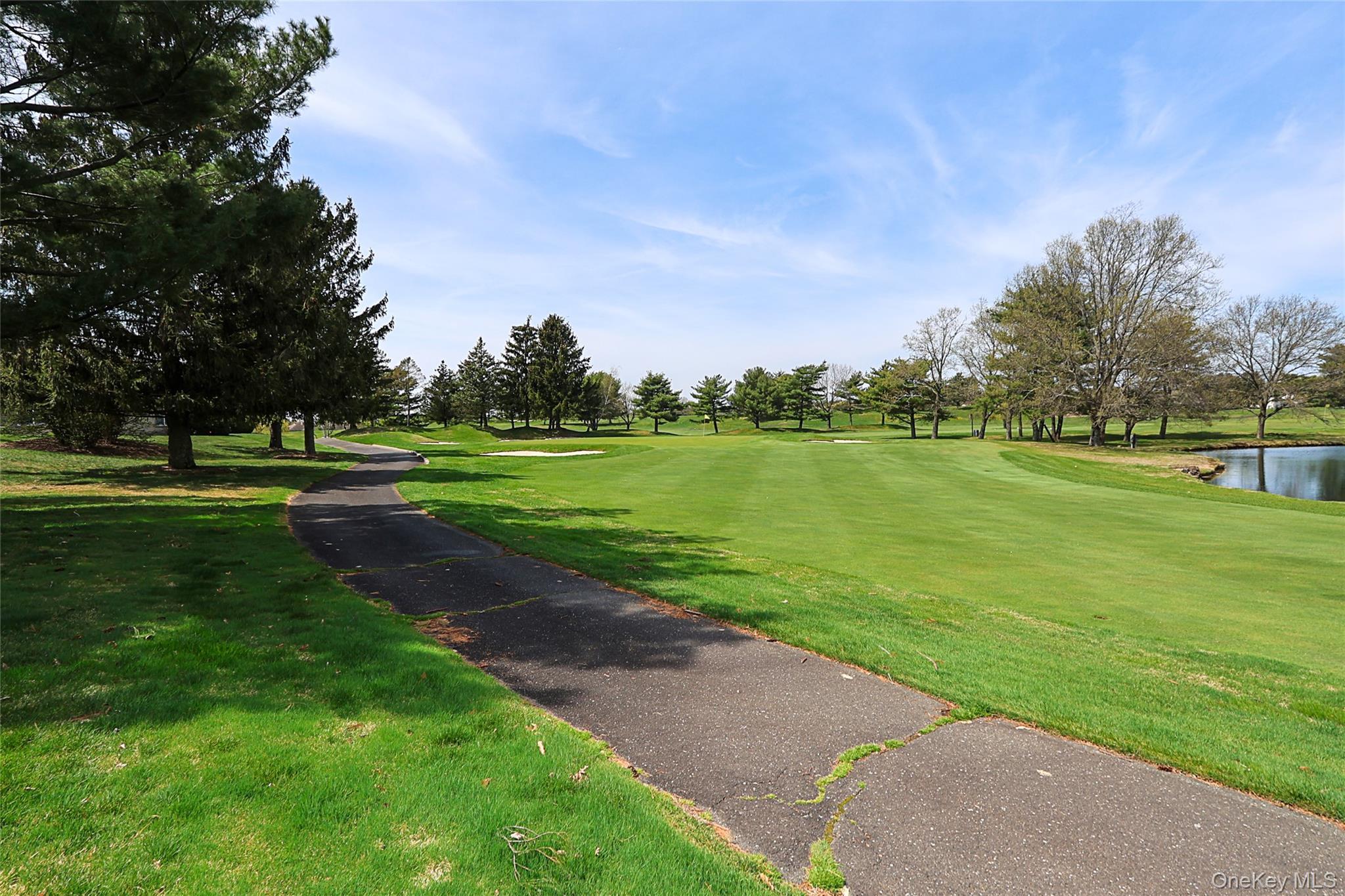 Condo Altessa  Suffolk County, NY 11747, MLS-987307-37