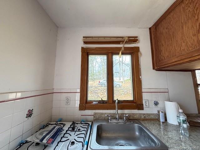 Single Family Cascade Lake  Orange County, NY 10990, MLS-987327-10
