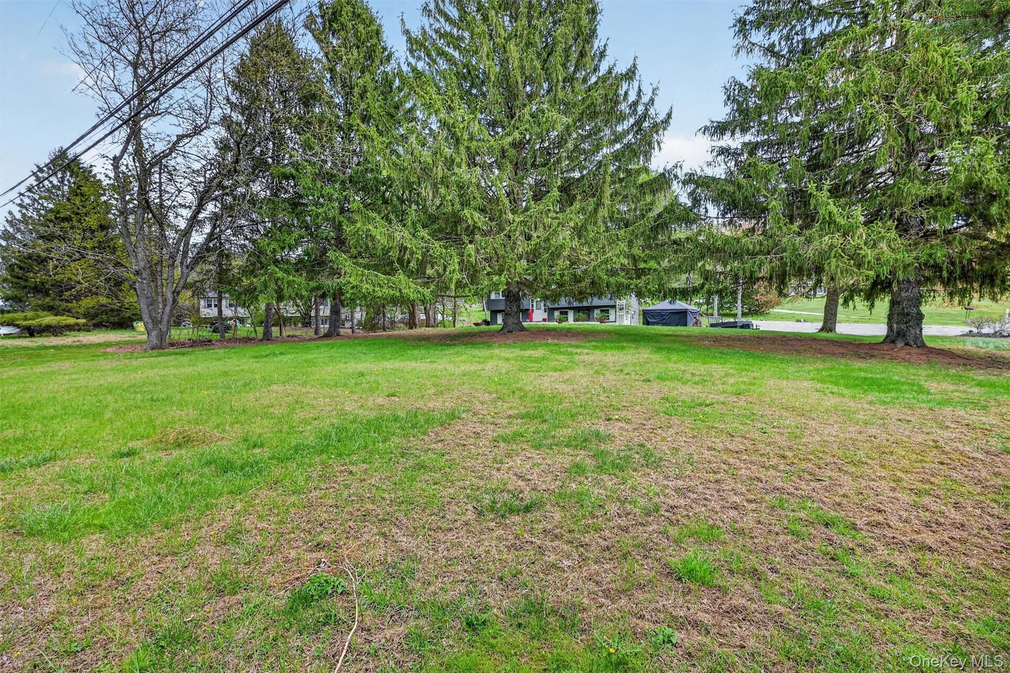 Single Family Regelski Drive Orange County, NY 10921, MLS-987340-41