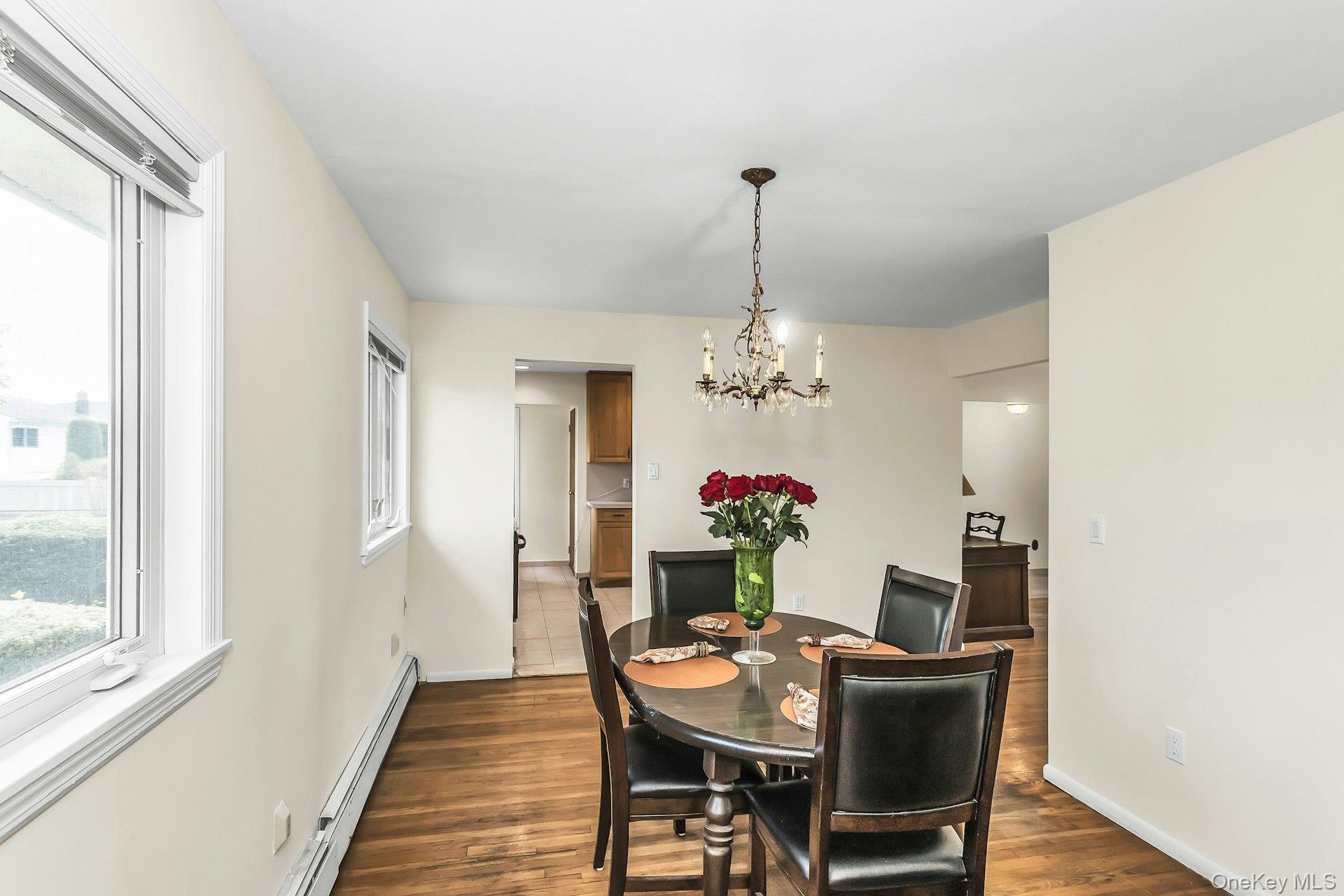 Single Family Wisconsin  Nassau County, NY 11758, MLS-987358-11