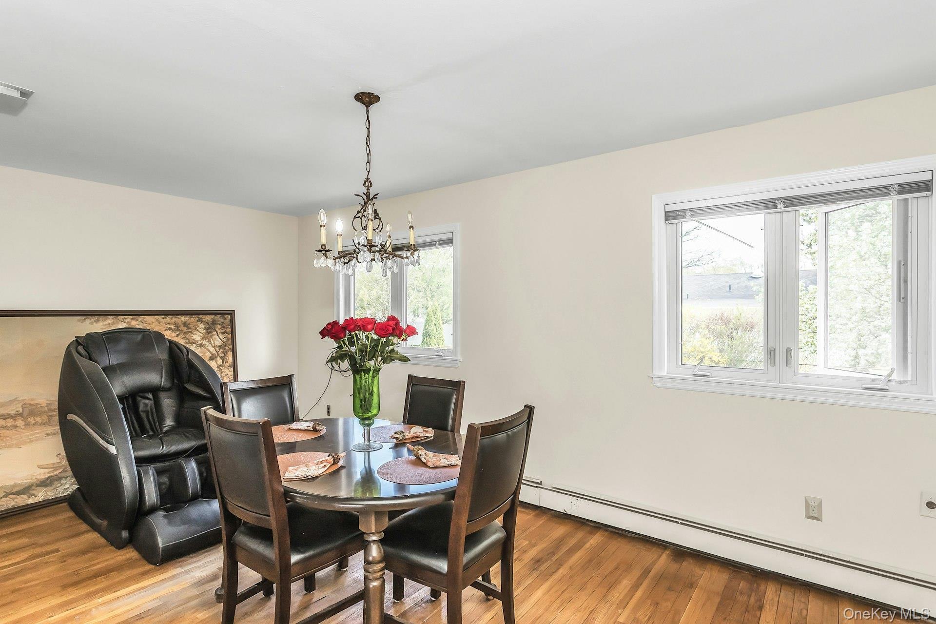 Single Family Wisconsin  Nassau County, NY 11758, MLS-987358-9