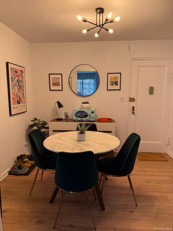 Coop Shore  Brooklyn, NY 11209, MLS-987405-2