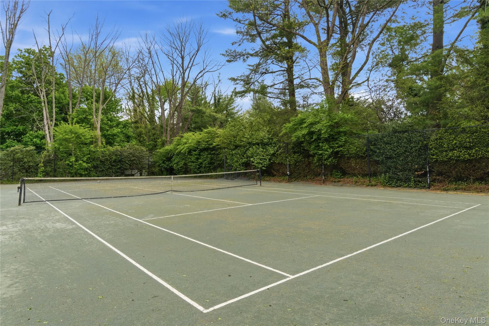Single Family Hoaglands Lane  Nassau County, NY 11545, MLS-987442-44