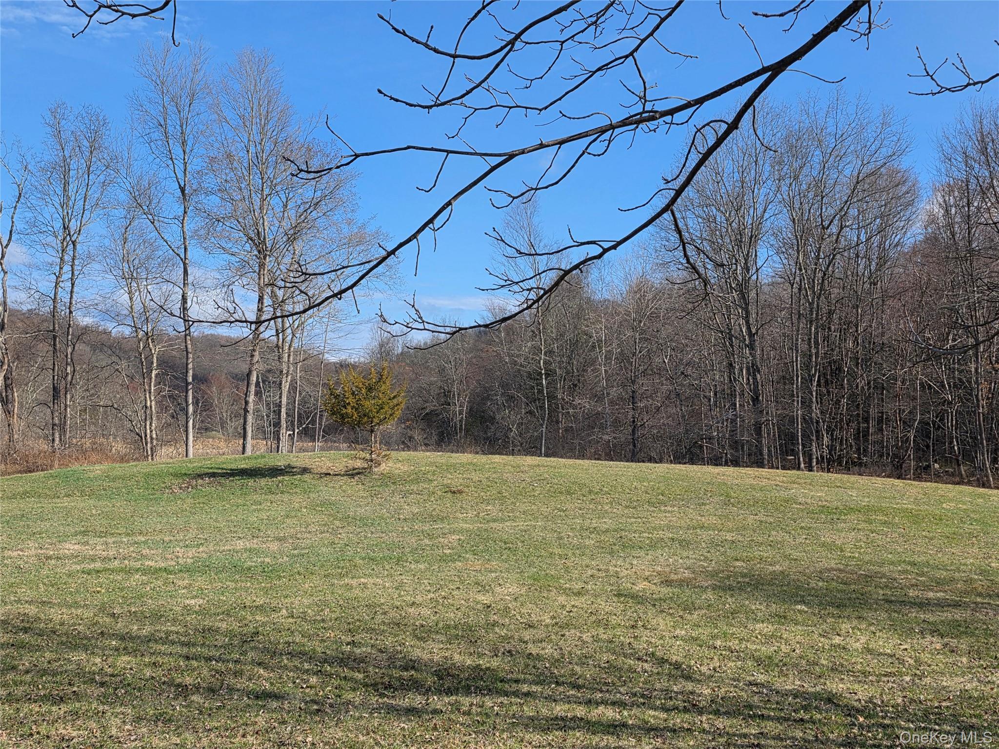 Single Family Taber Lot 1 Out Of Area, NY 06784, MLS-987486-15