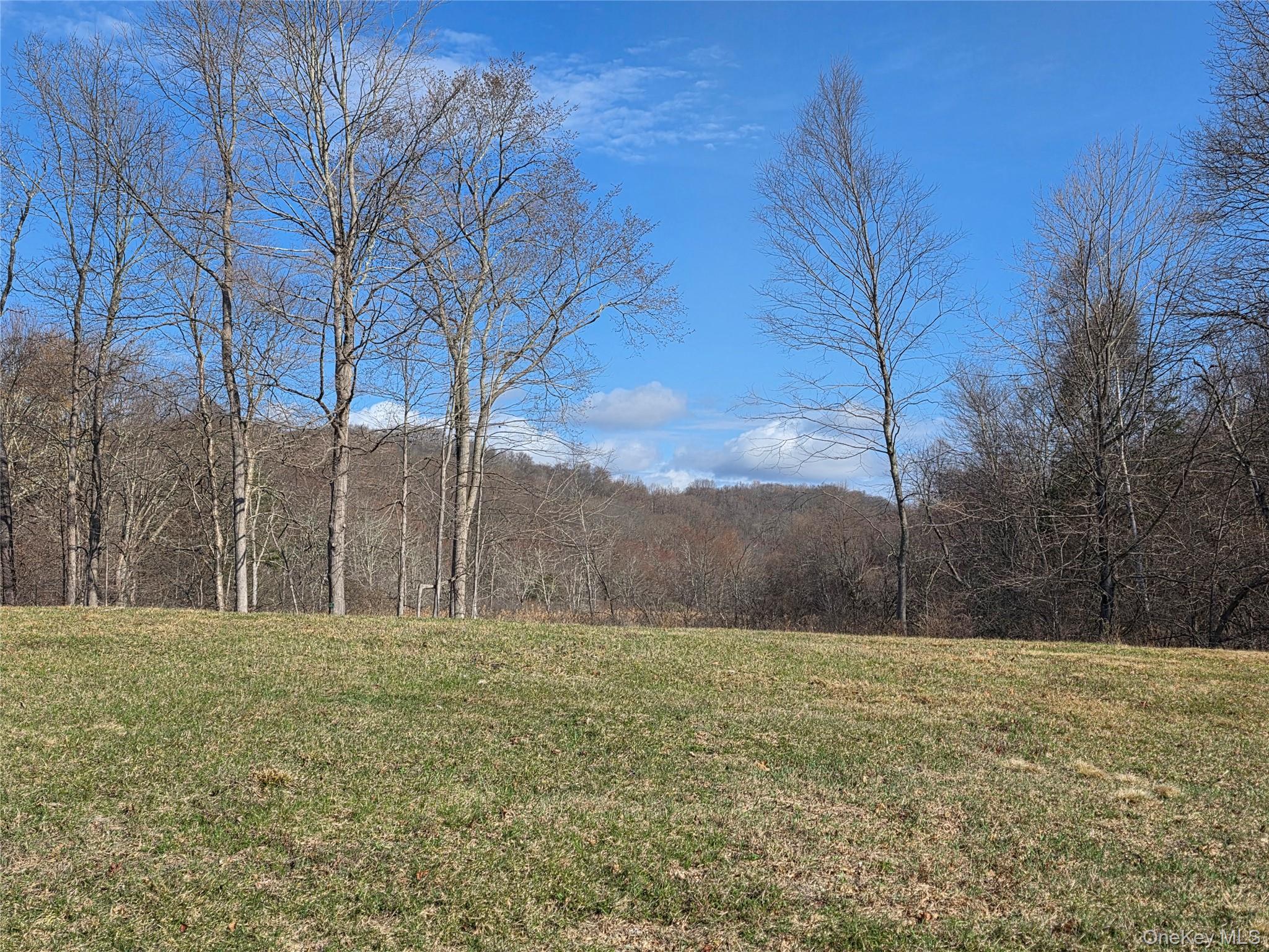 Single Family Taber Lot 1 Out Of Area, NY 06784, MLS-987486-16