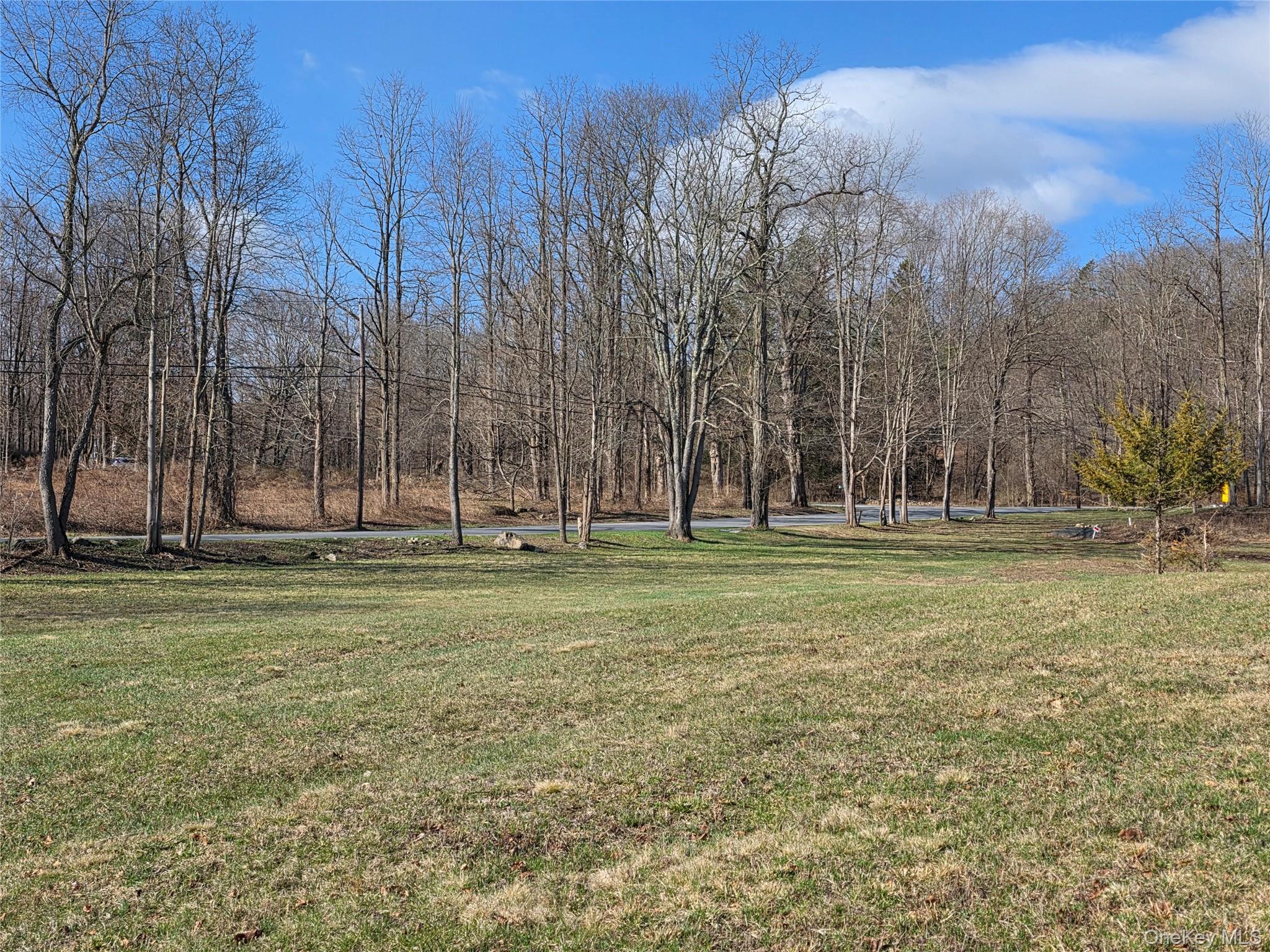 Single Family Taber Lot 1 Out Of Area, NY 06784, MLS-987486-17