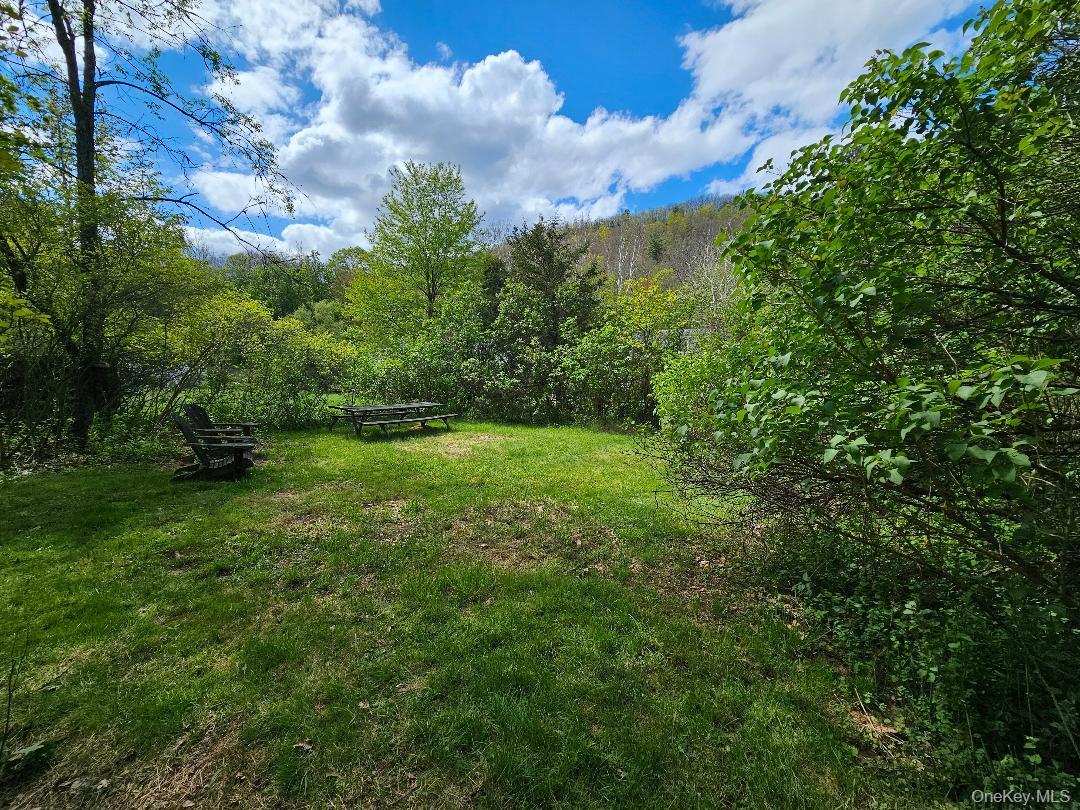 Single Family Canal Orange County, NY 12729, MLS-987573-23