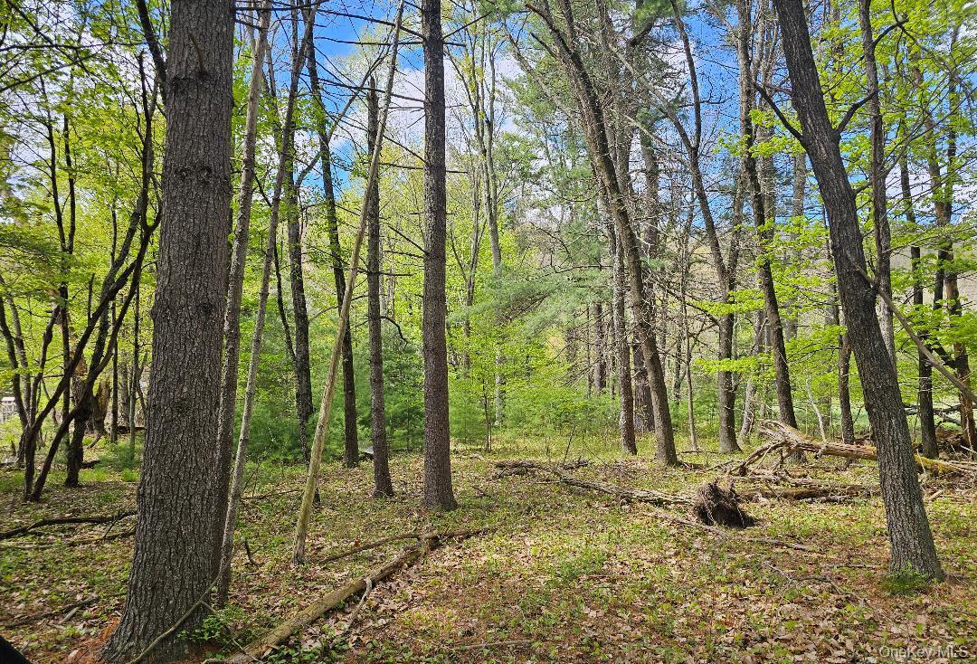 Single Family Canal Orange County, NY 12729, MLS-987573-24