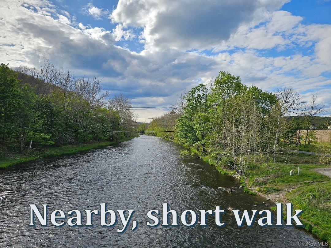 Single Family Canal Orange County, NY 12729, MLS-987573-26