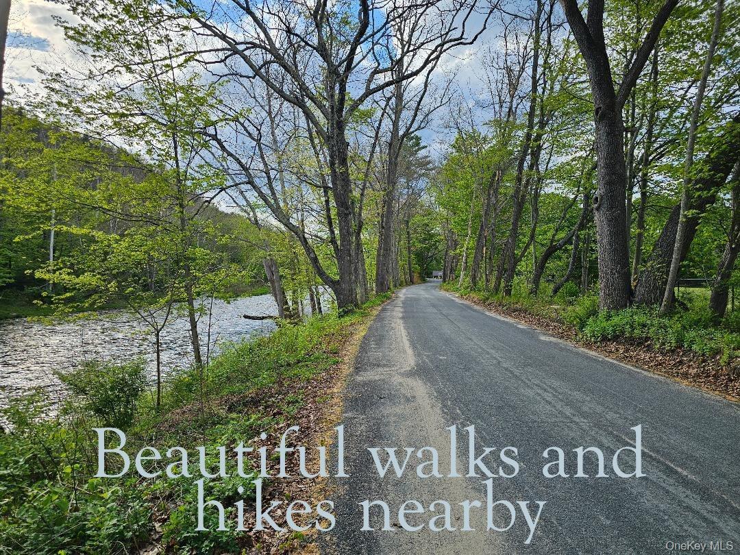 Single Family Canal Orange County, NY 12729, MLS-987573-27
