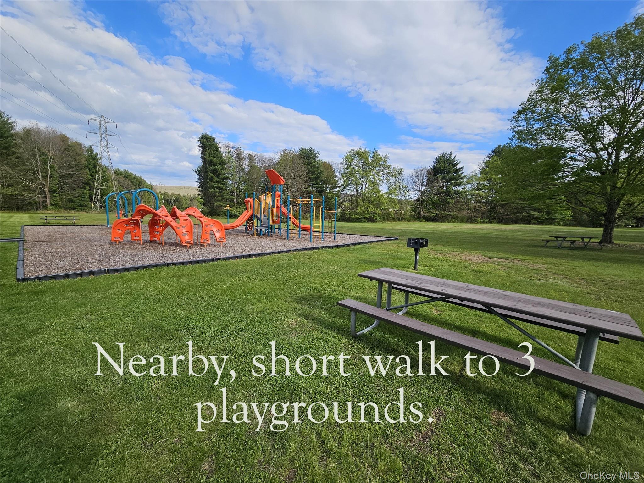 Single Family Canal Drive  Orange County, NY 12729, MLS-987573-38