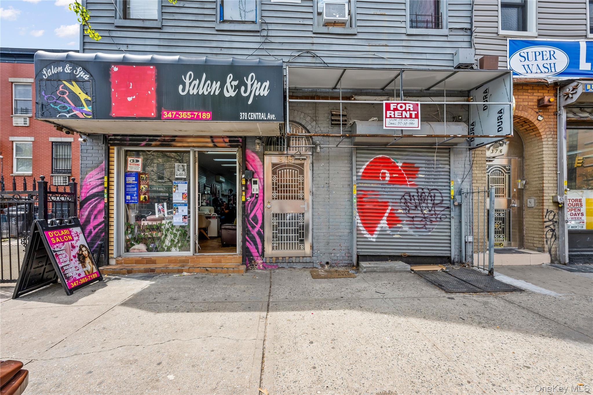 Single Family Central  Brooklyn, NY 11221, MLS-987635-11