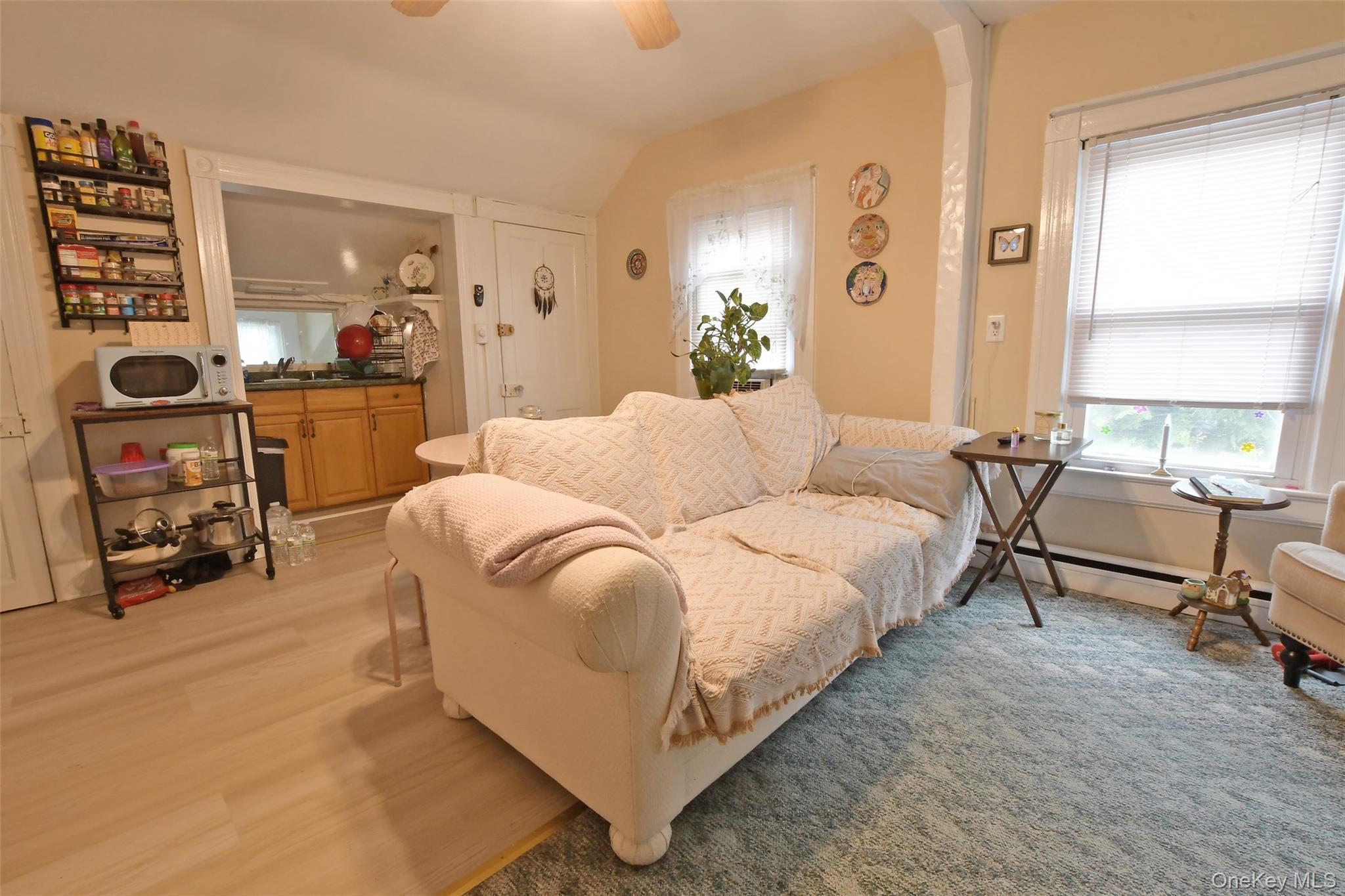 Single Family Division Avenue  Suffolk County, NY 11796, MLS-987677-25