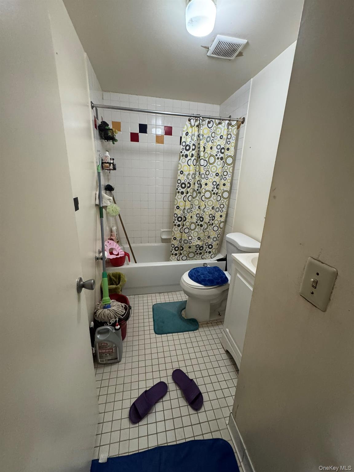 Single Family 10th Street Queens, NY 11106, MLS-987685-12