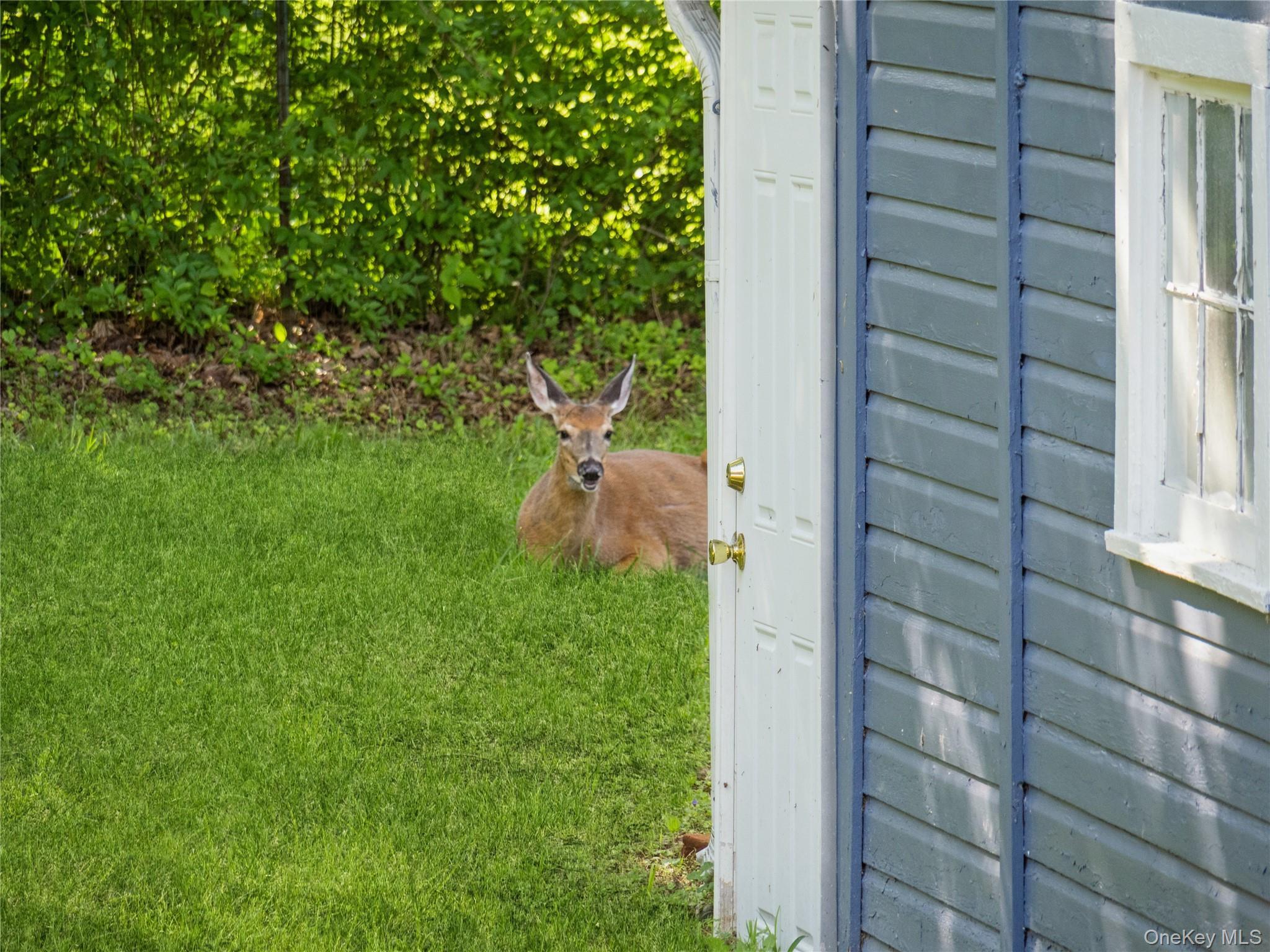 Single Family Woodland  Dutchess County, NY 12603, MLS-987873-37