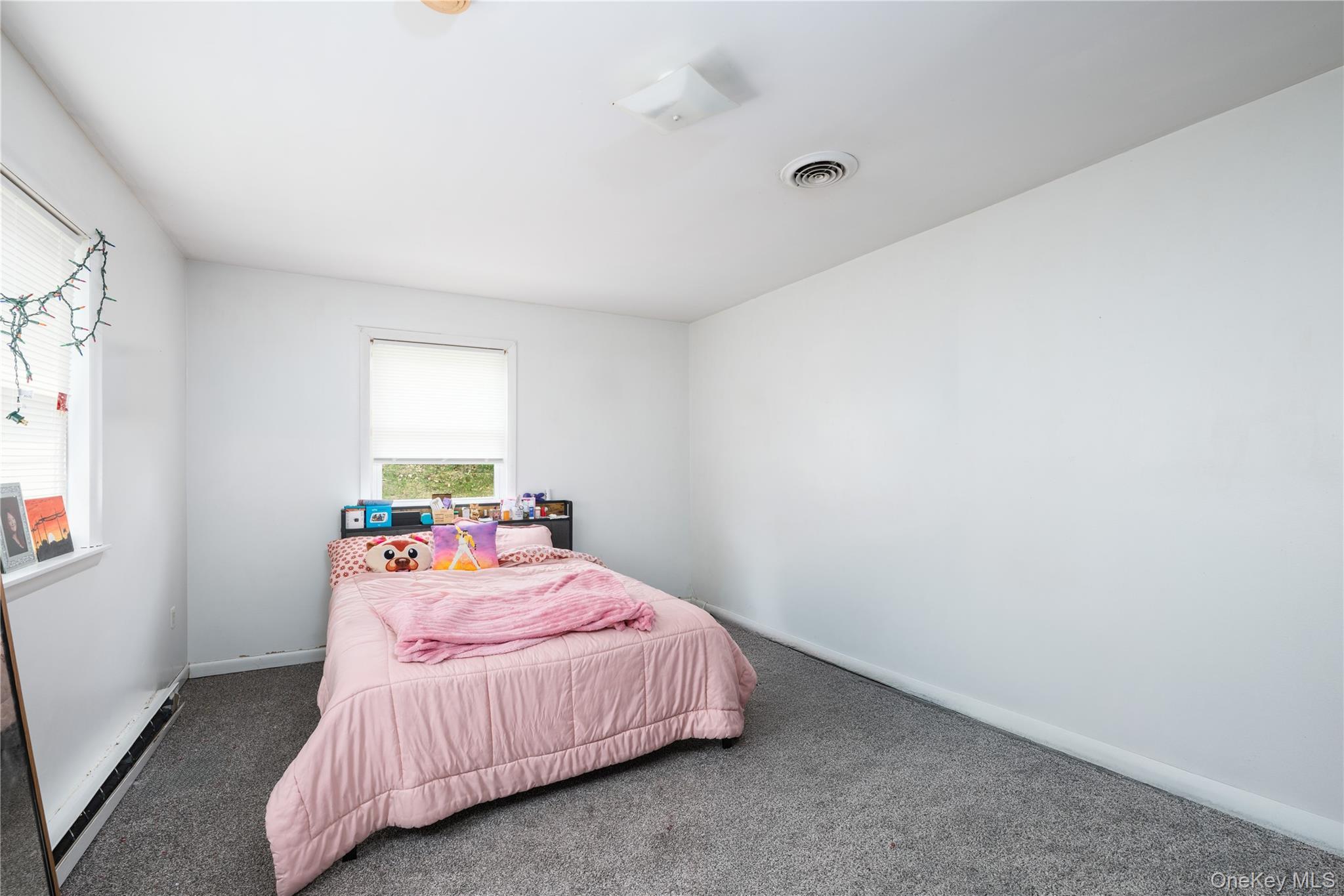 Single Family Powerline  Dutchess County, NY 12580, MLS-987915-19