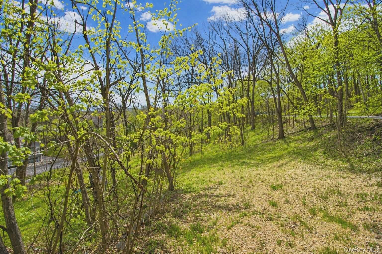 Single Family Underwood Street  Ulster County, NY 12477, MLS-987929-18