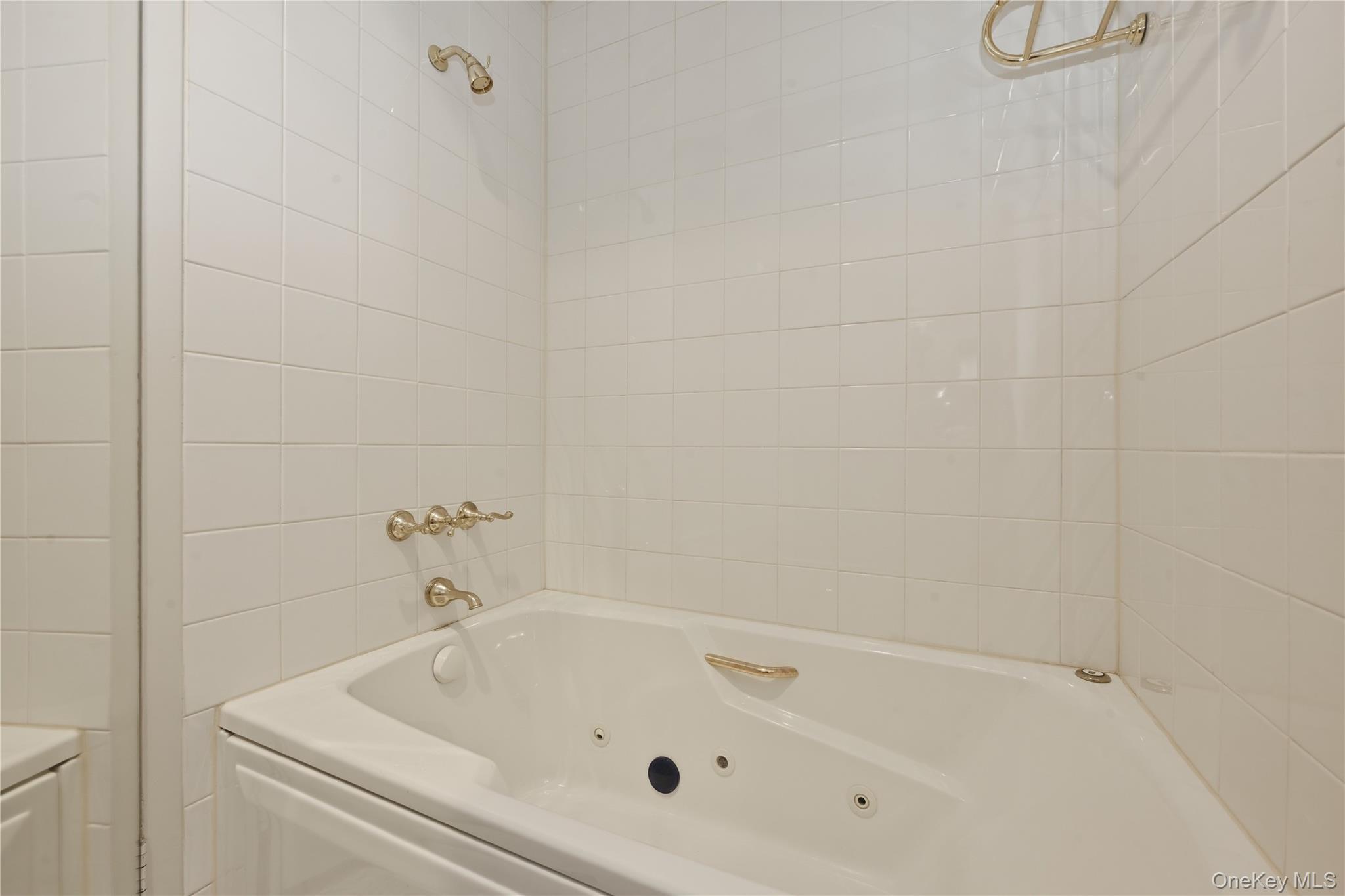 Condo Chestnut Hill  Nassau County, NY 11576, MLS-987962-27