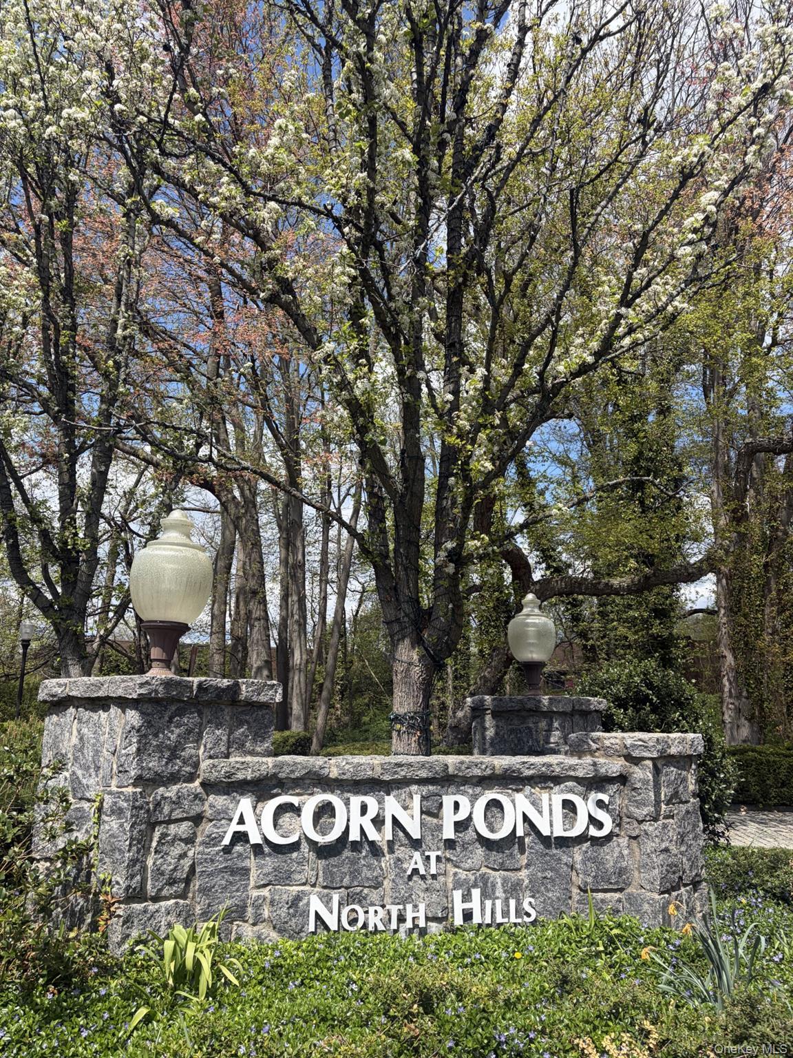 Condo Chestnut Hill  Nassau County, NY 11576, MLS-987962-30