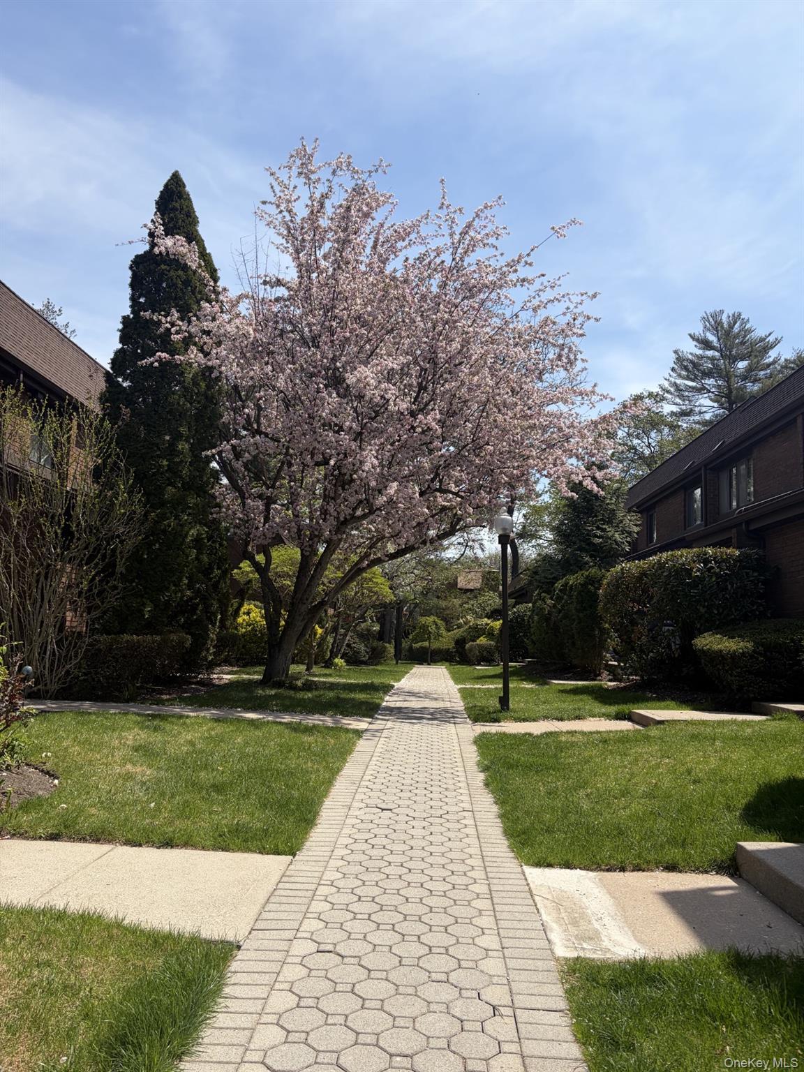 Condo Chestnut Hill  Nassau County, NY 11576, MLS-987962-33