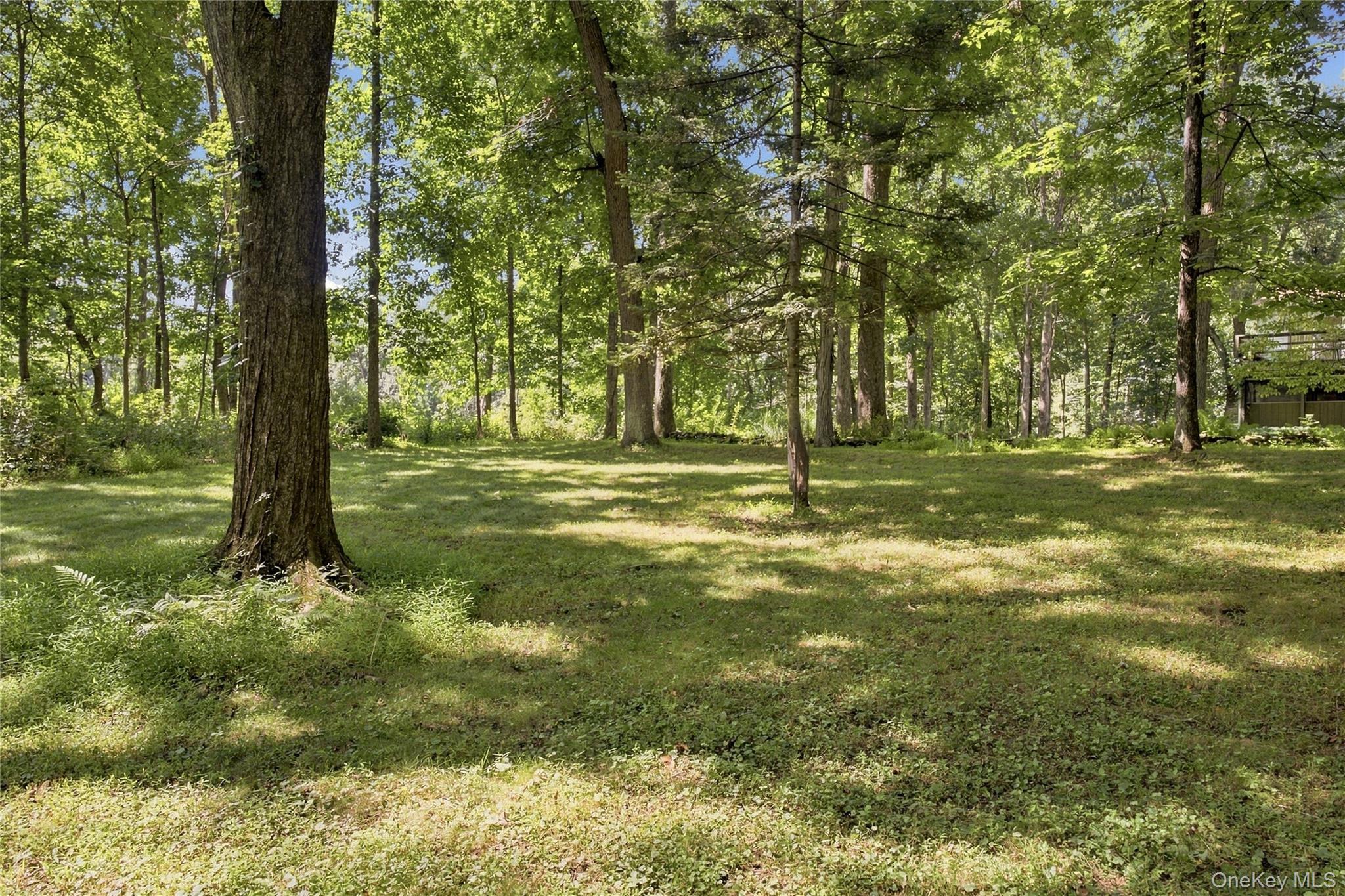 Single Family Camp Drive Dutchess County, NY 12572, MLS-987969-43