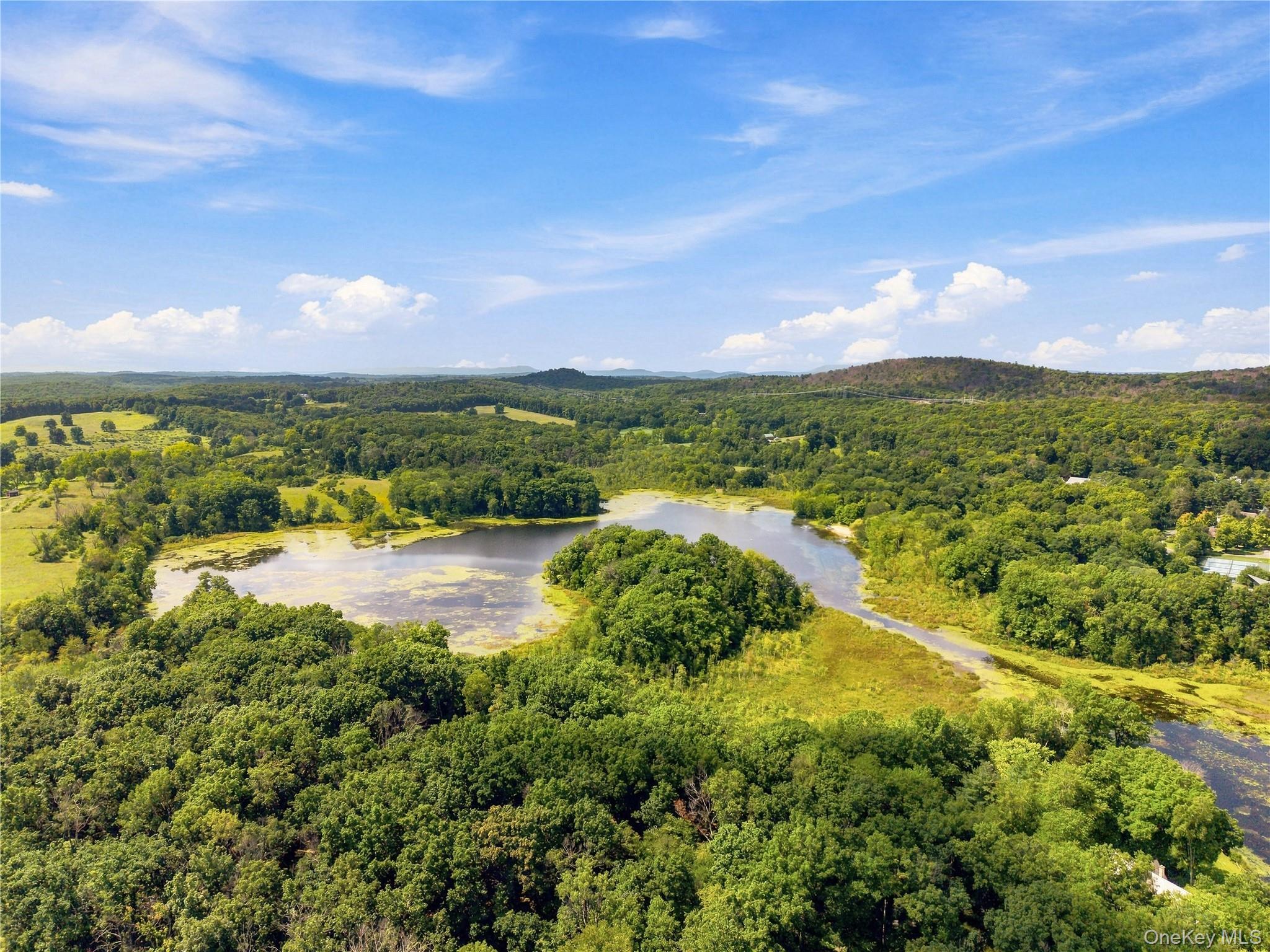 Single Family Camp Drive Dutchess County, NY 12572, MLS-987969-47