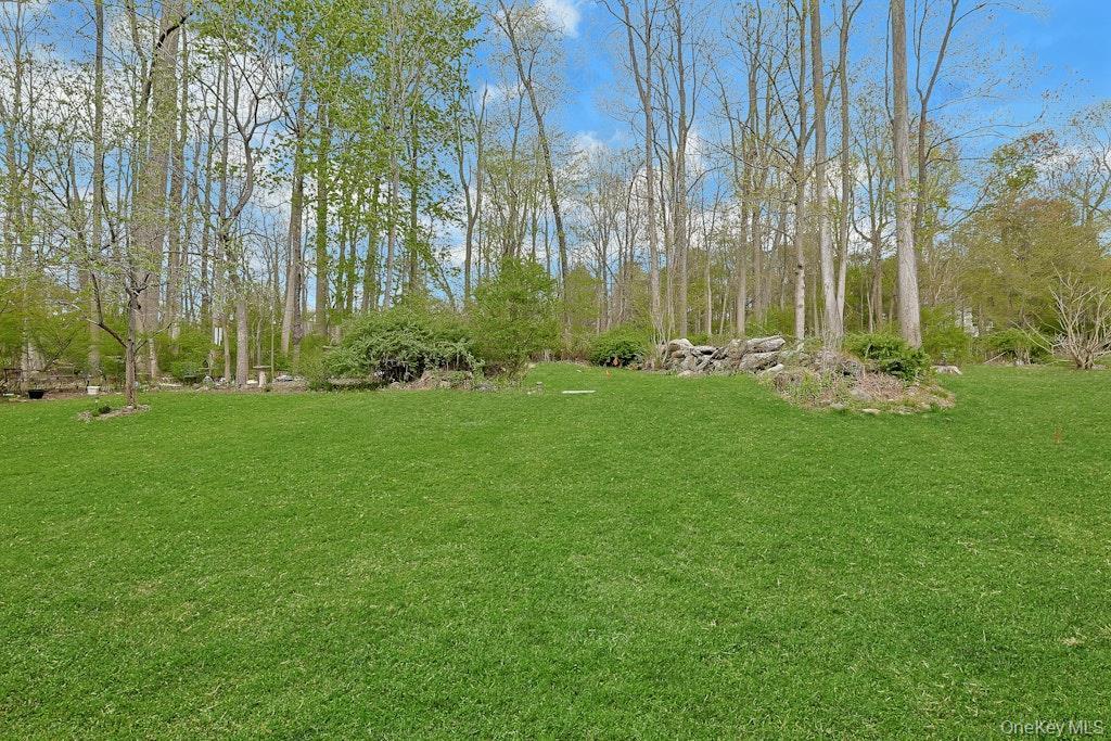 Single Family Regent  Westchester County, NY 10549, MLS-987979-28