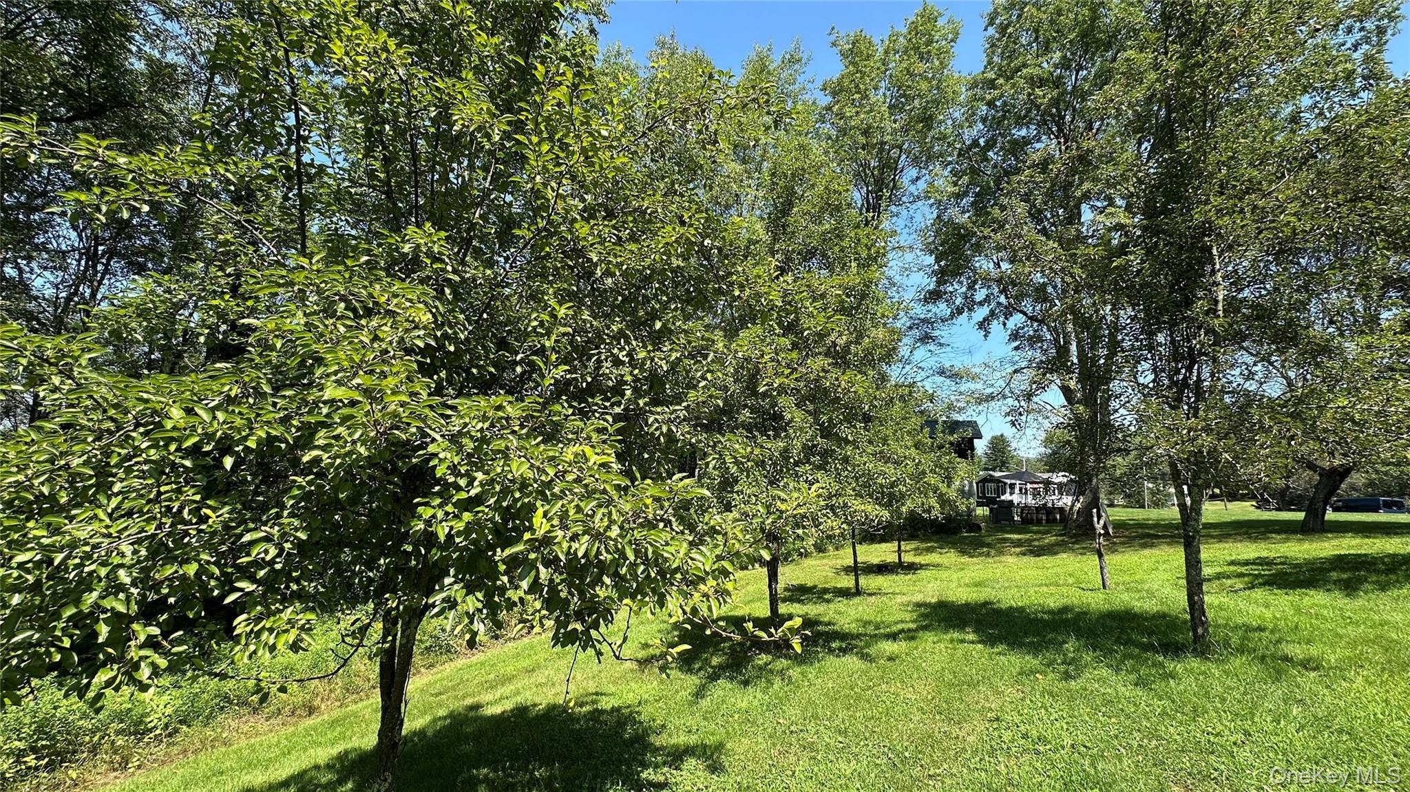 Single Family State Route 52 Sullivan County, NY 12787, MLS-988033-39