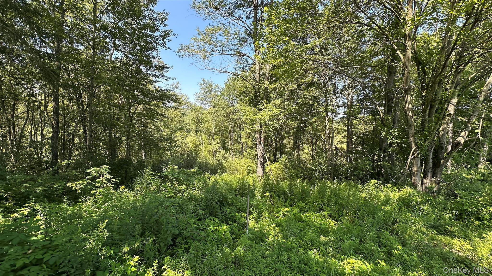 Single Family State Route 52 Sullivan County, NY 12787, MLS-988033-40