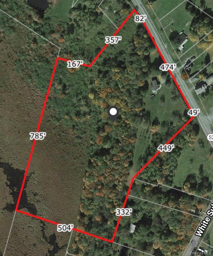 Single Family State Route 52 Sullivan County, NY 12787, MLS-988033-47