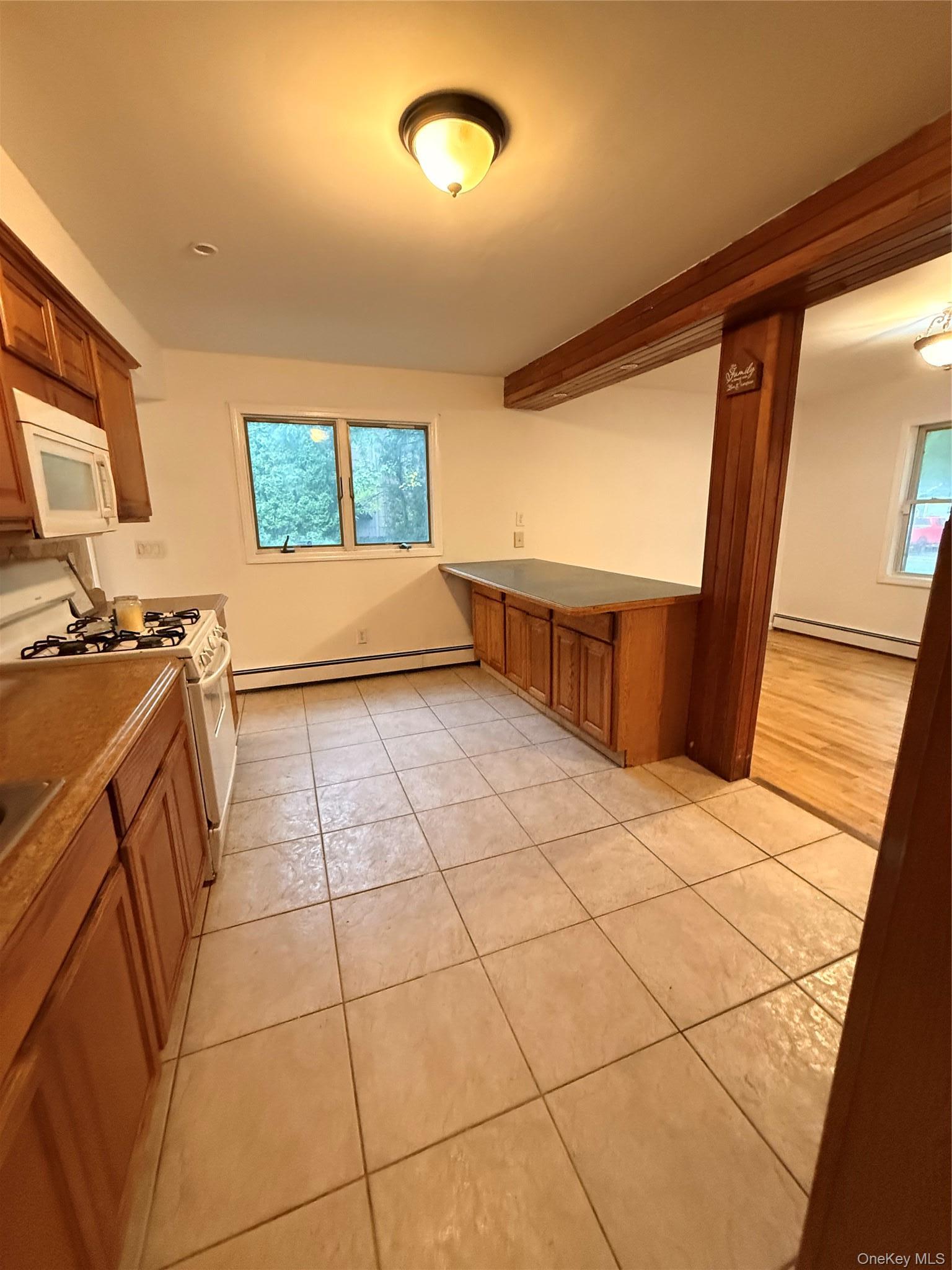 Single Family Hampton Avenue  Suffolk County, NY 11950, MLS-988118-5