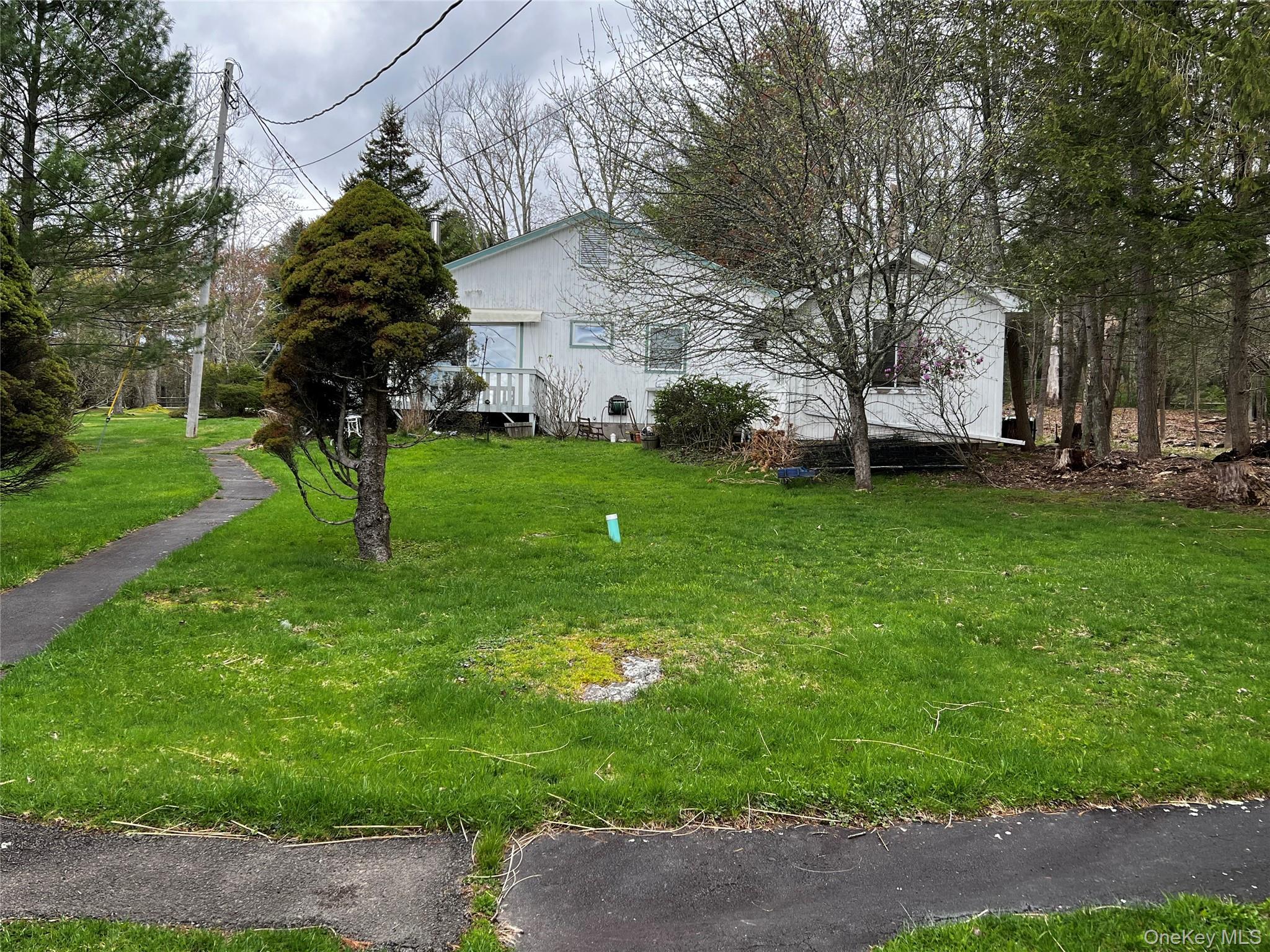 Single Family Jenn Lane Sullivan County, NY 12701, MLS-988151-19