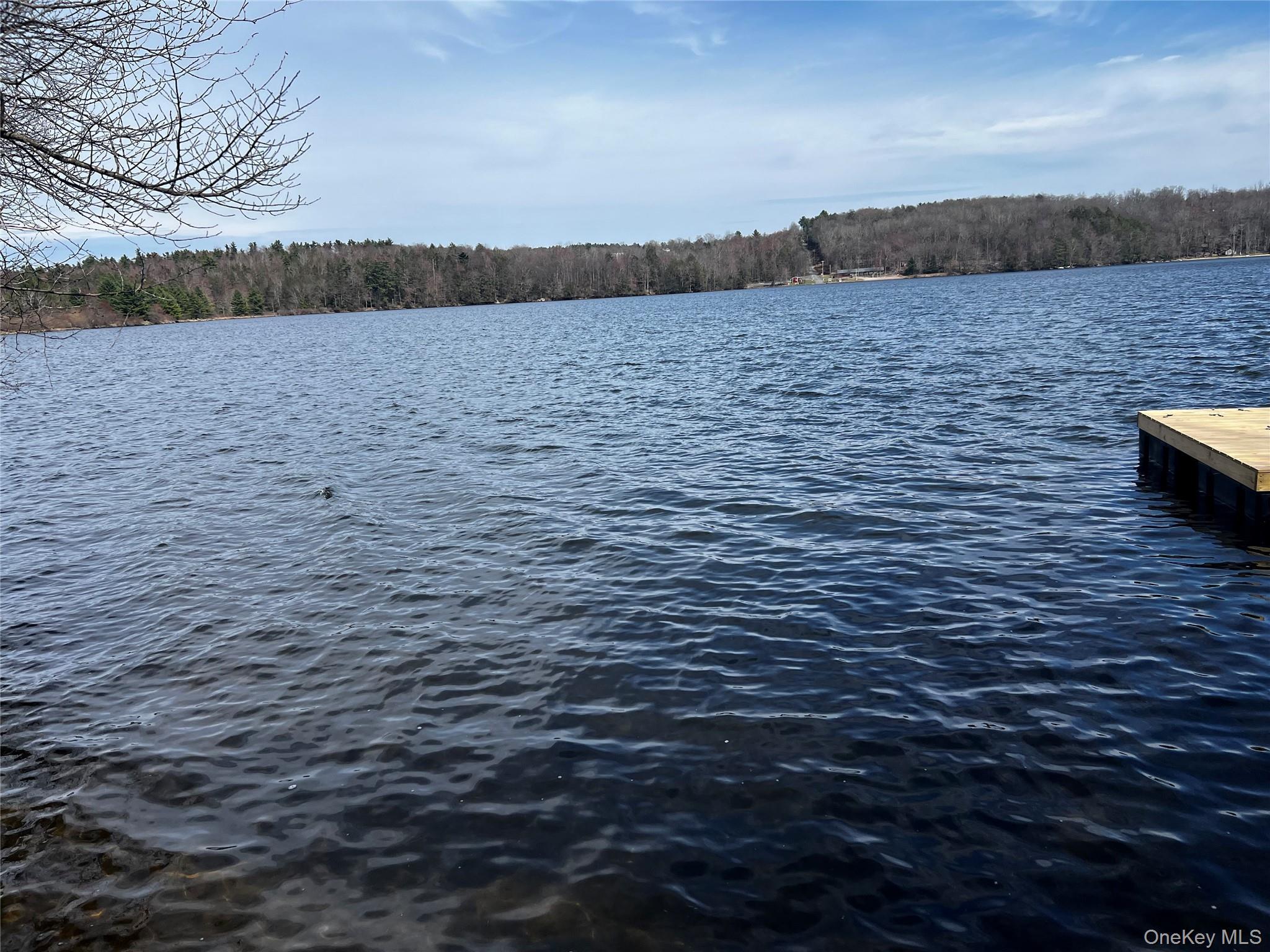 Single Family Jenn Lane Sullivan County, NY 12701, MLS-988151-22