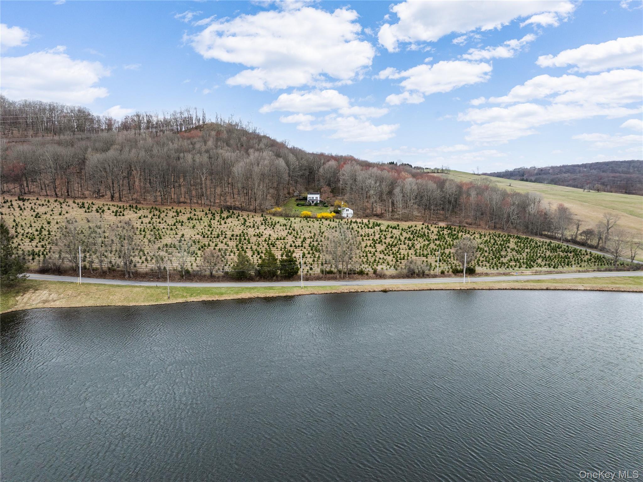 Single Family Wilcox  Dutchess County, NY 12585, MLS-988234-2