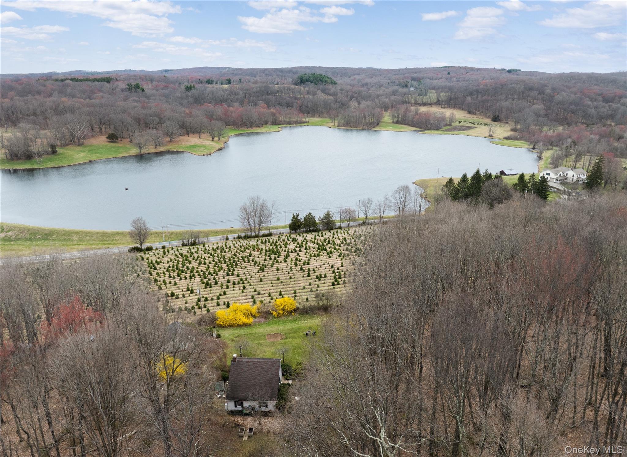 Single Family Wilcox  Dutchess County, NY 12585, MLS-988234-25