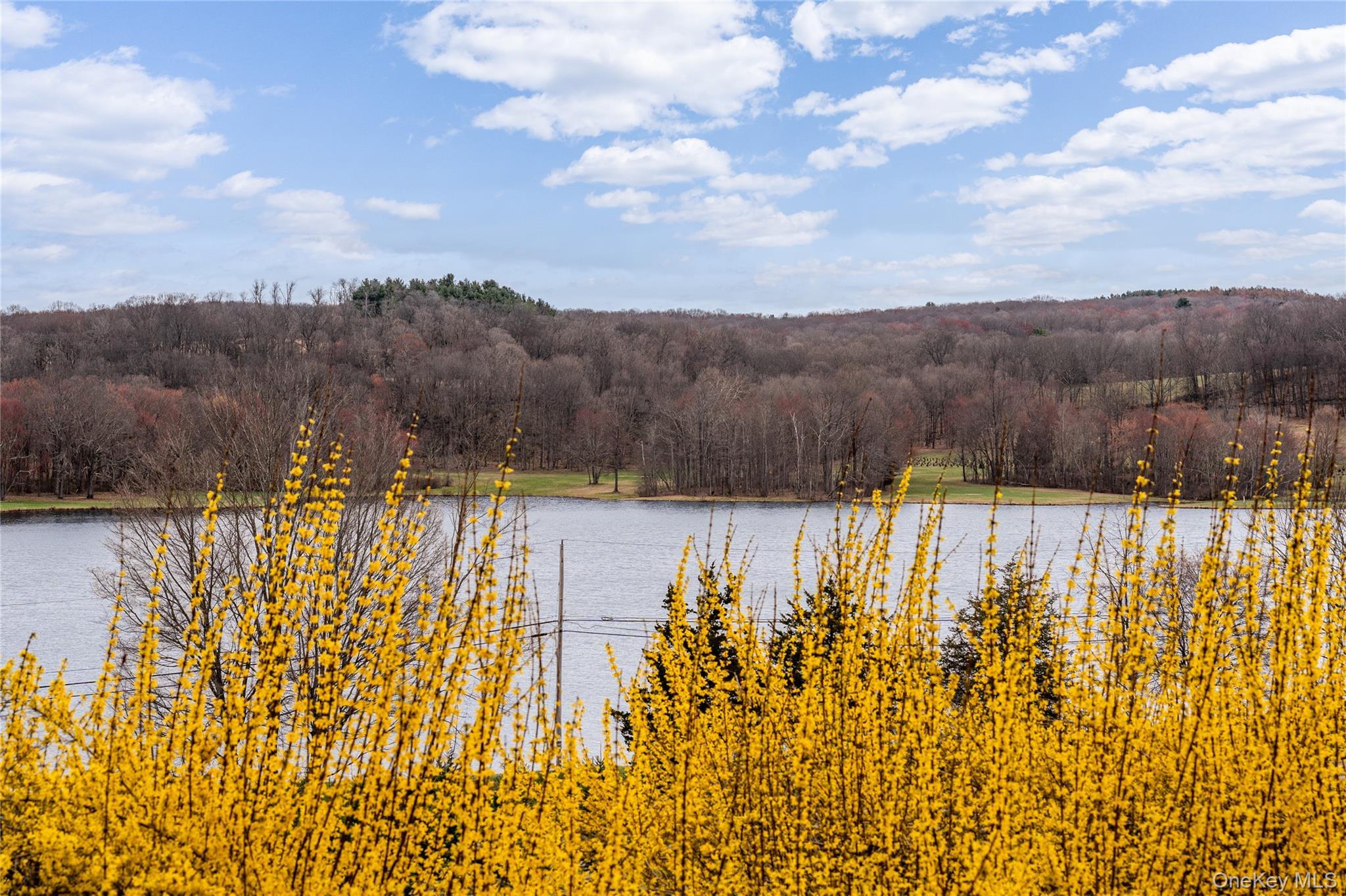 Single Family Wilcox  Dutchess County, NY 12585, MLS-988234-38