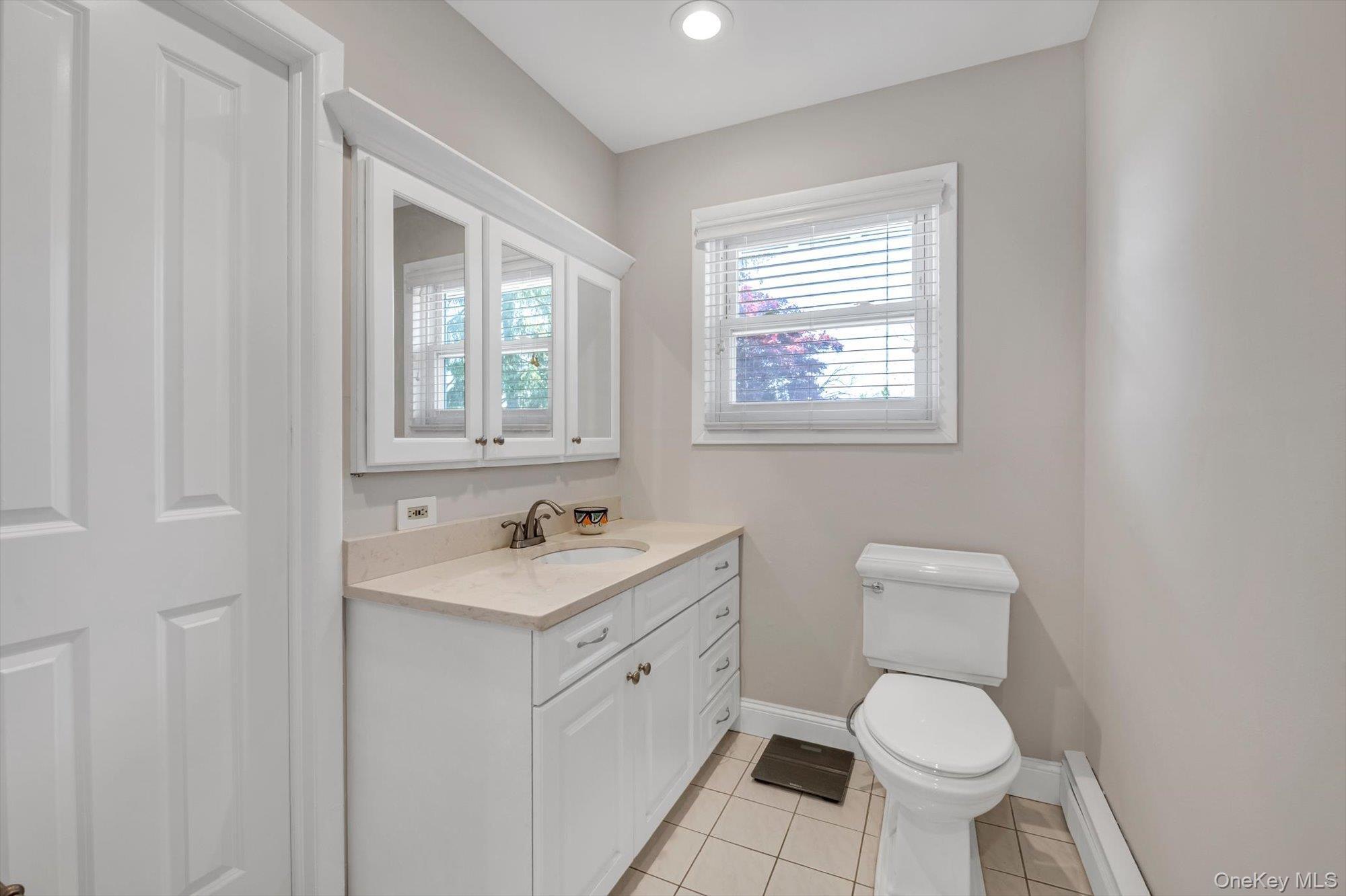 Single Family Park Avenue Nassau County, NY 11566, MLS-988283-11