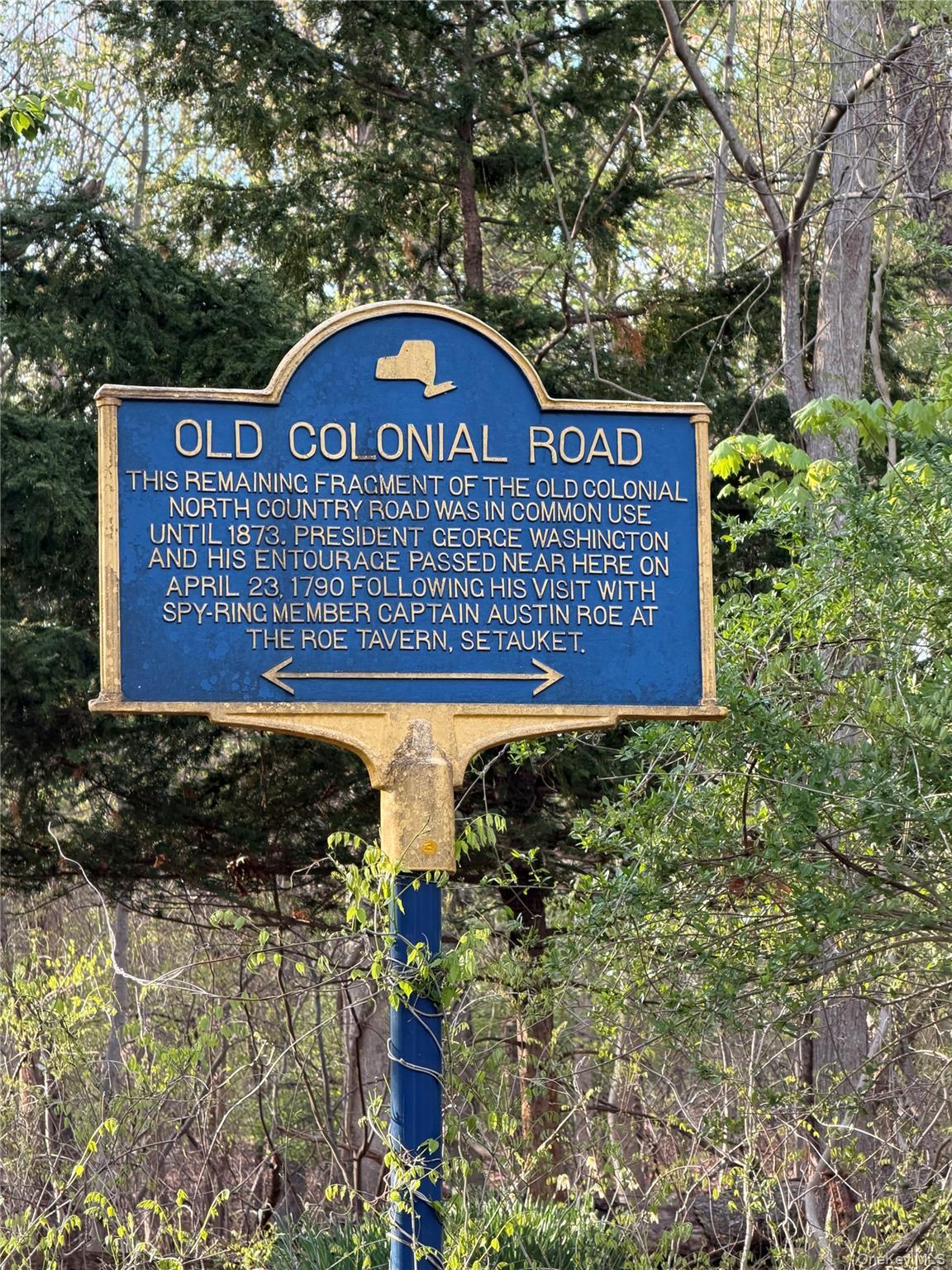 Single Family Dogwood  Suffolk County, NY 11790, MLS-988287-6