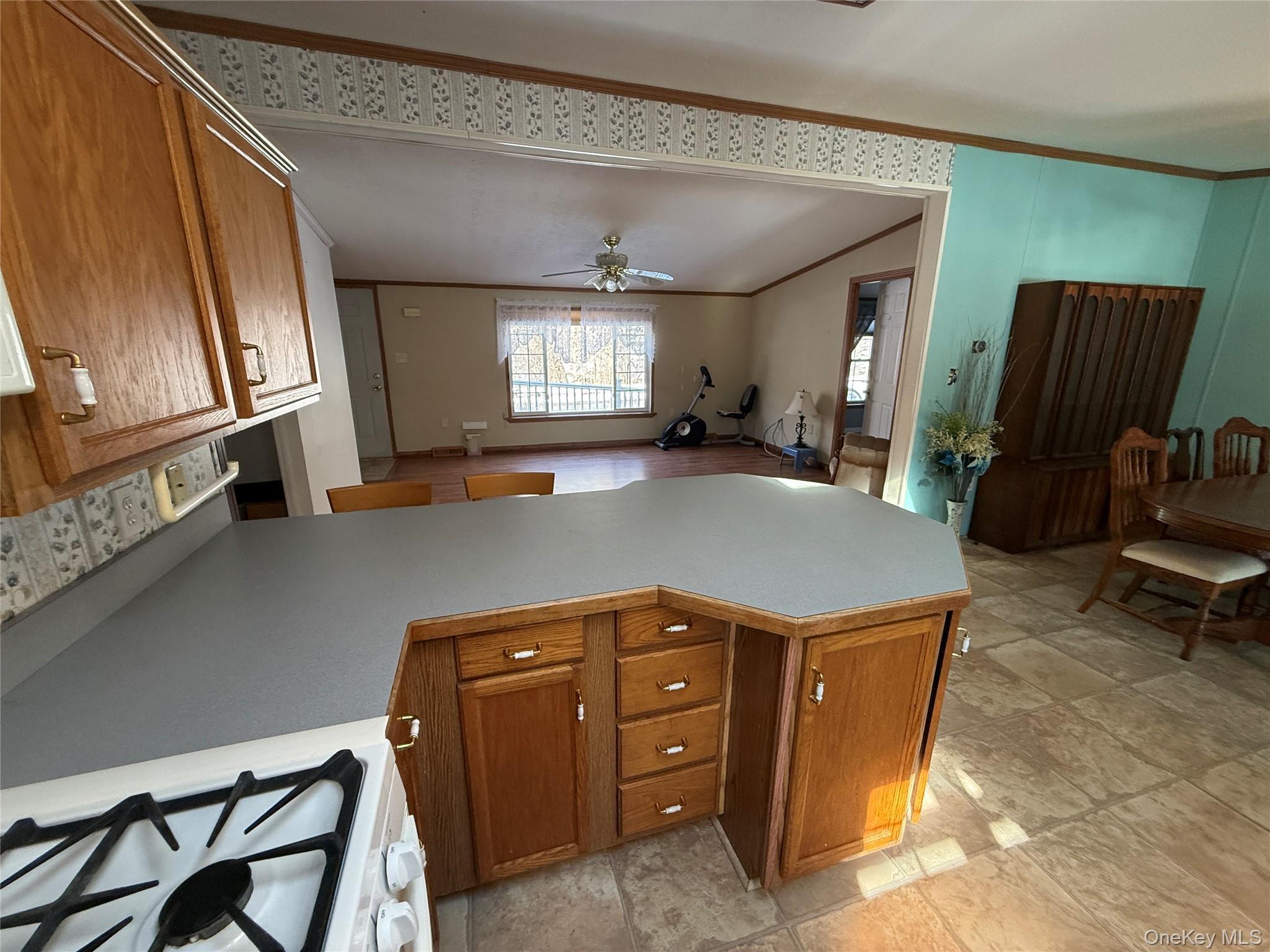 Single Family Brittany  Orange County, NY 12575, MLS-988319-5