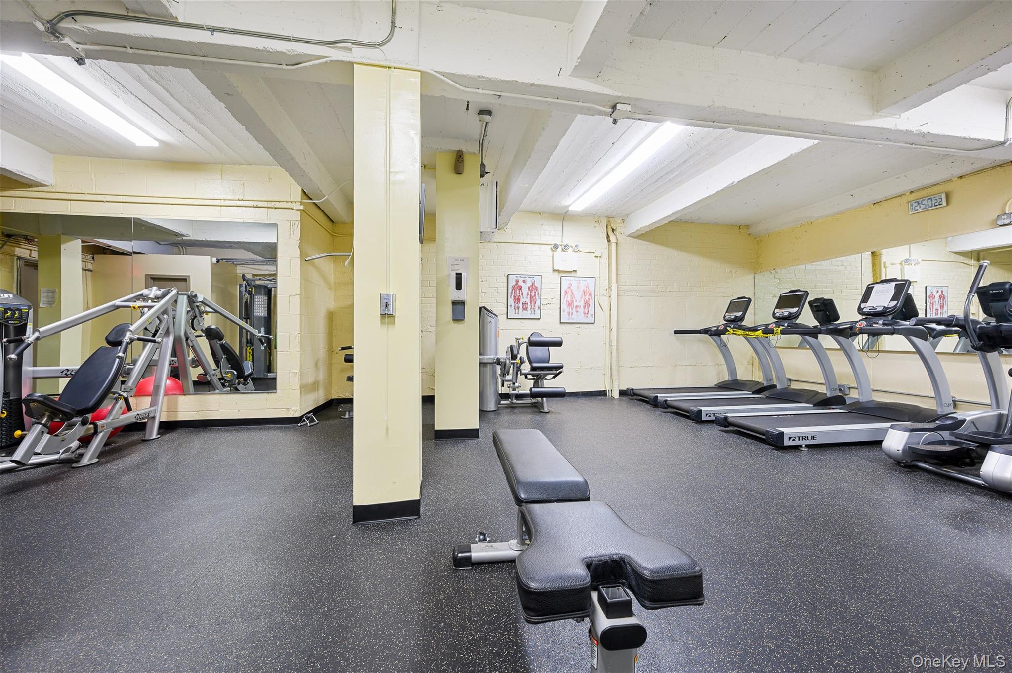 Coop Main  Queens, NY 11378, MLS-988488-5
