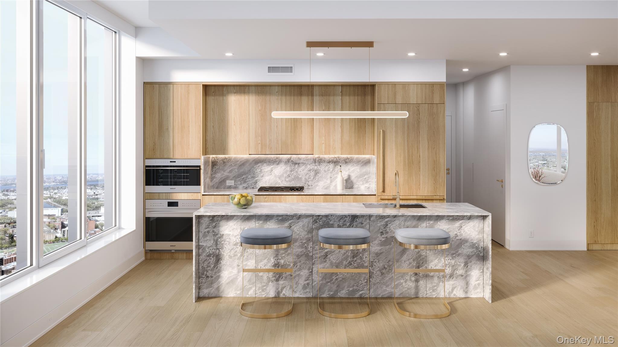 Condo Northern  Queens, NY 11354, MLS-988592-2