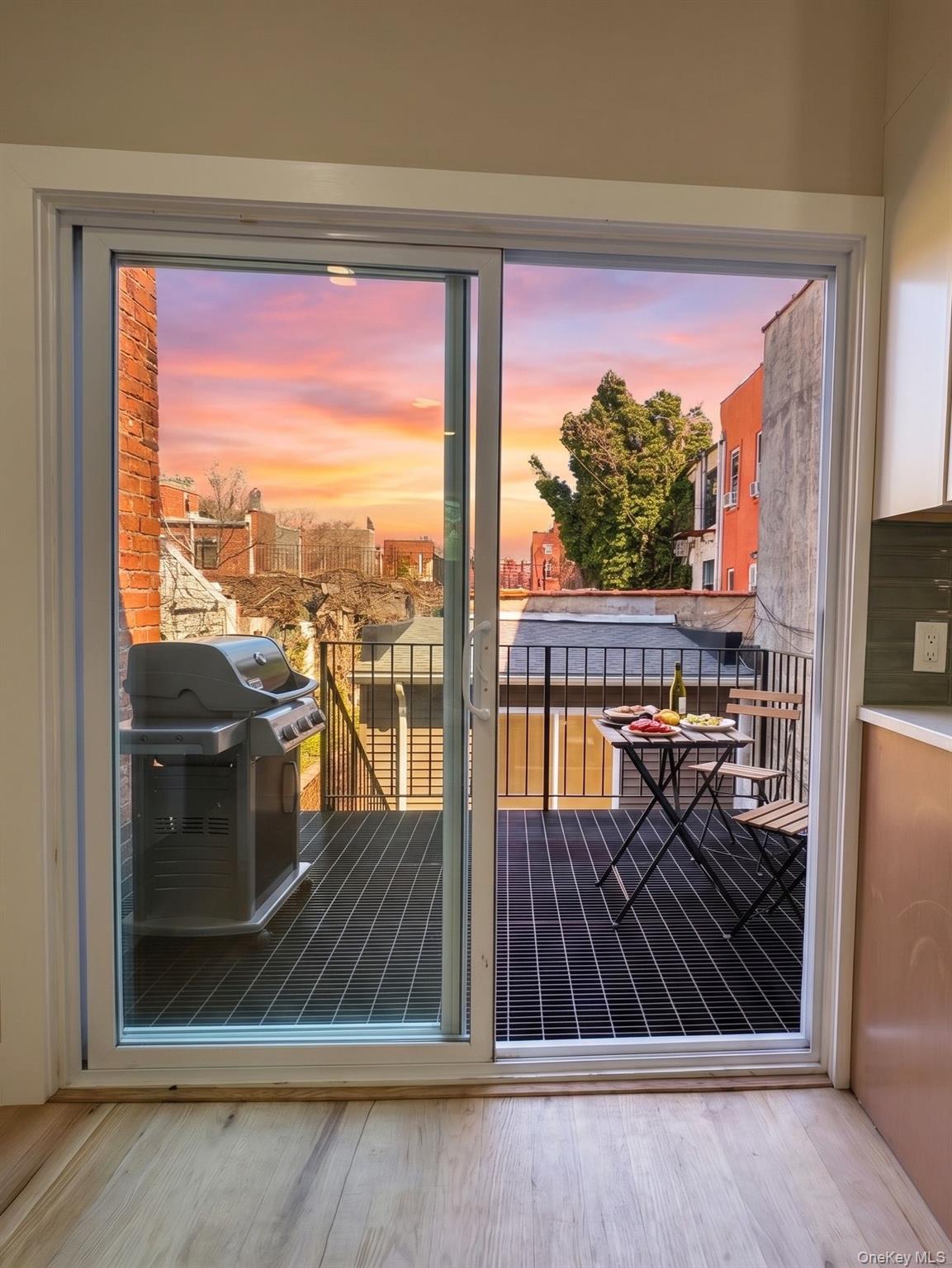 Single Family Monaco Brooklyn, NY 11233, MLS-988647-19