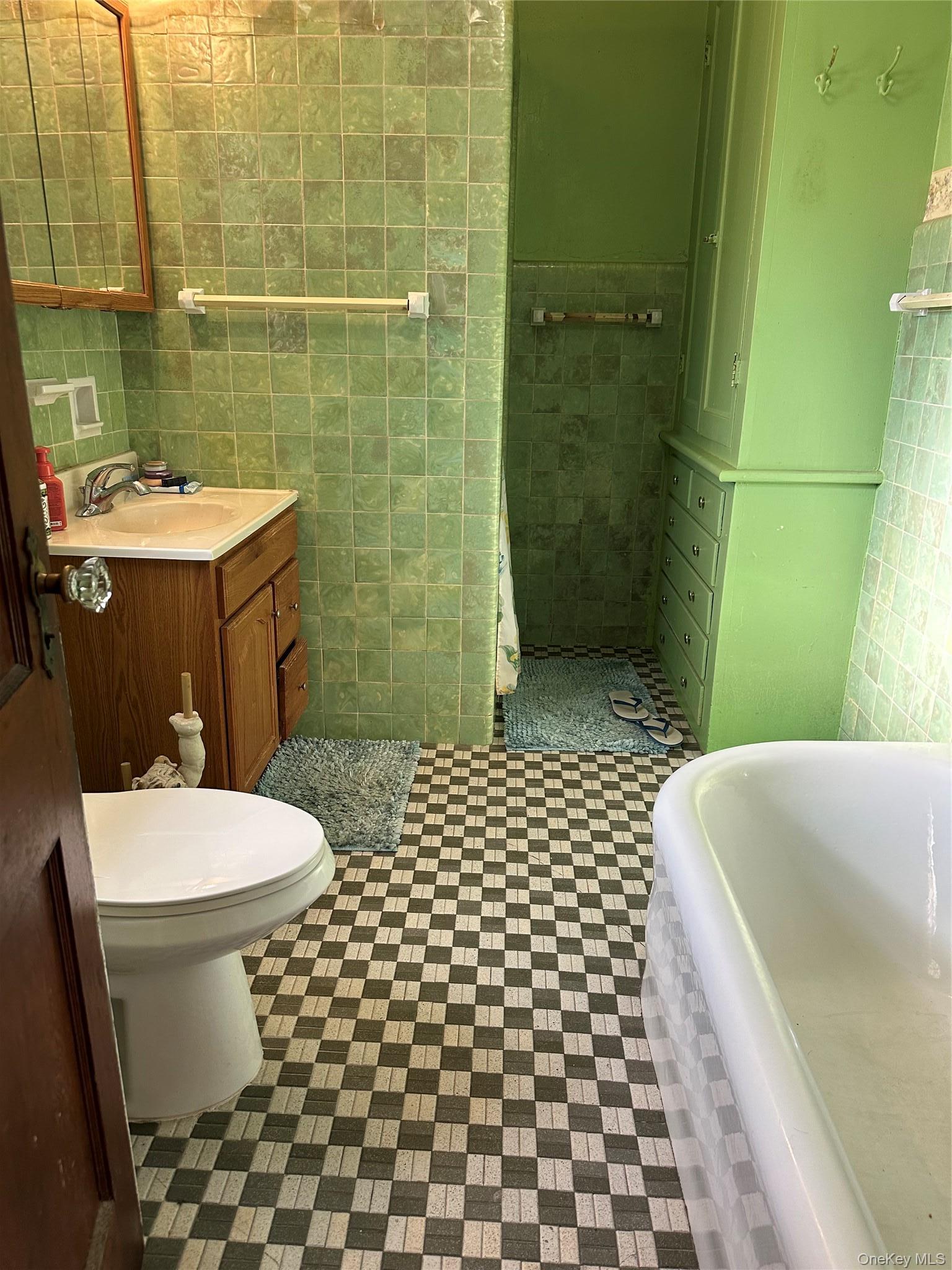 Single Family Memphis  Queens, NY 11422, MLS-988718-9