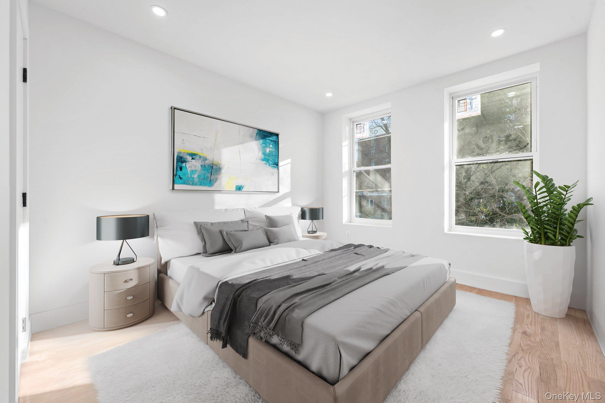 Single Family Hubbard  Brooklyn, NY 11210, MLS-988724-6