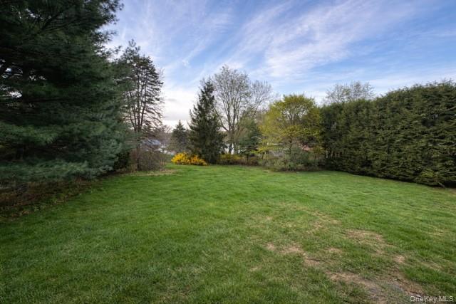 Single Family Jonathan Drive  Dutchess County, NY 12580, MLS-988726-28