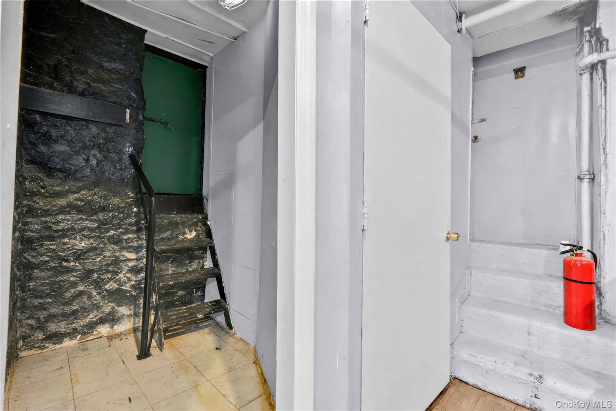 Commercial Sale E 55th Street Brooklyn, NY 11203, MLS-988745-22