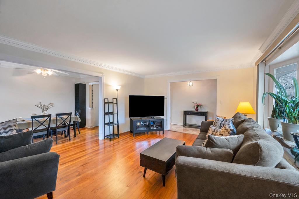 Single Family Cleaves  Nassau County, NY 11550, MLS-988748-10