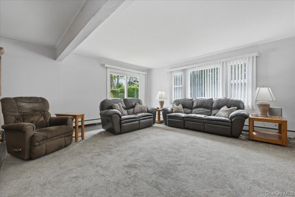 Single Family Twin  Nassau County, NY 11793, MLS-988812-15