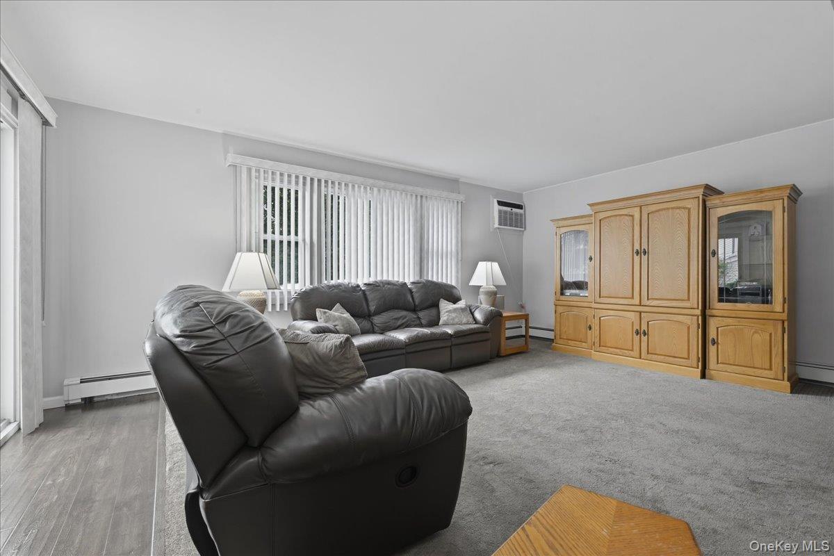 Single Family Twin  Nassau County, NY 11793, MLS-988812-16