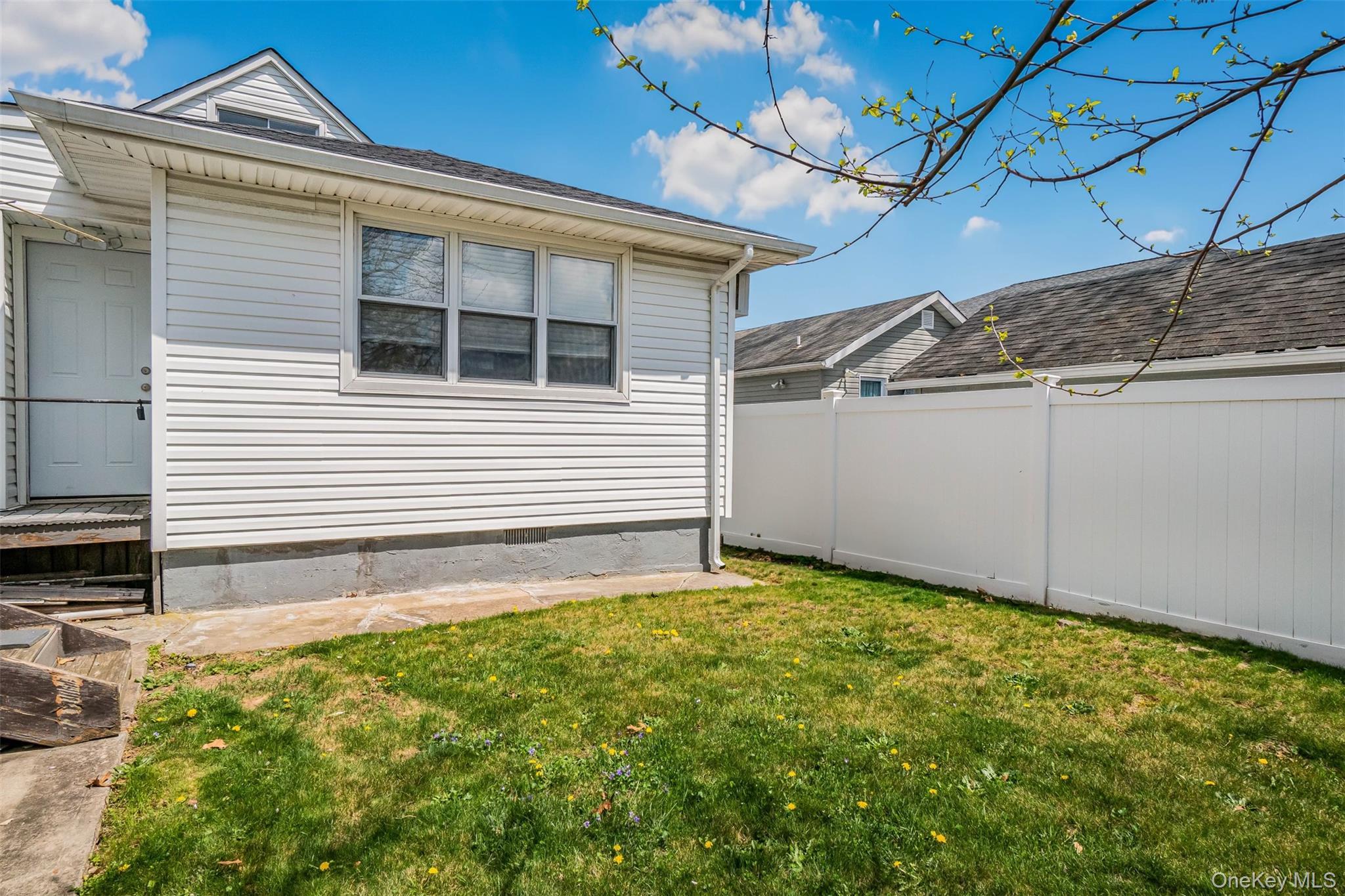 Single Family Rosser  Nassau County, NY 11003, MLS-988836-6